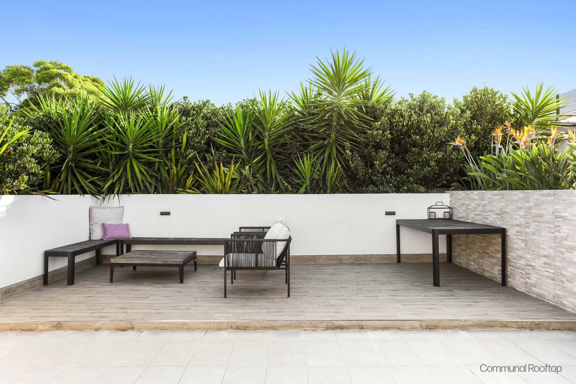 2/6 Danks Street, Waterloo NSW