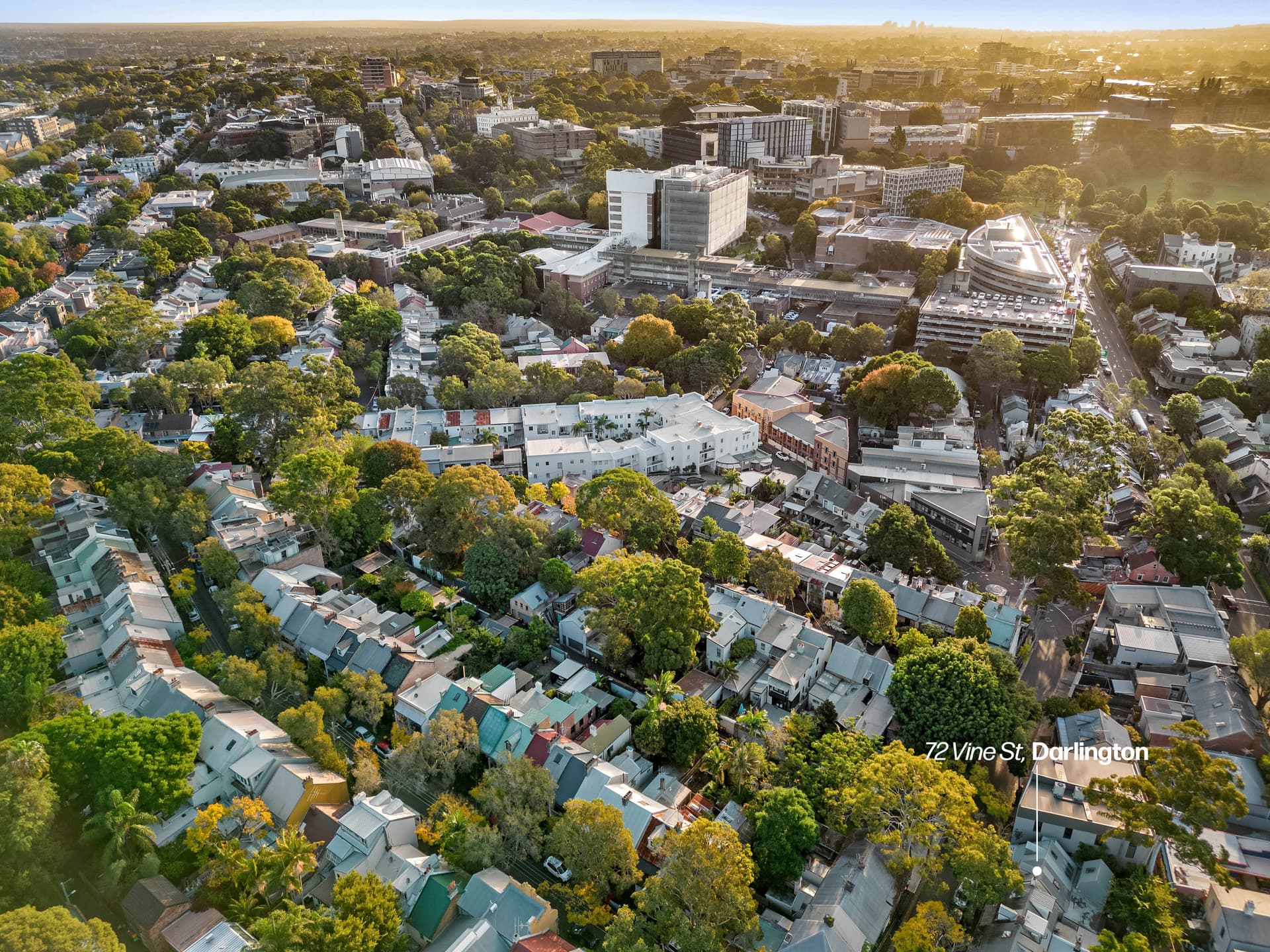 72 Vine Street, Darlington NSW