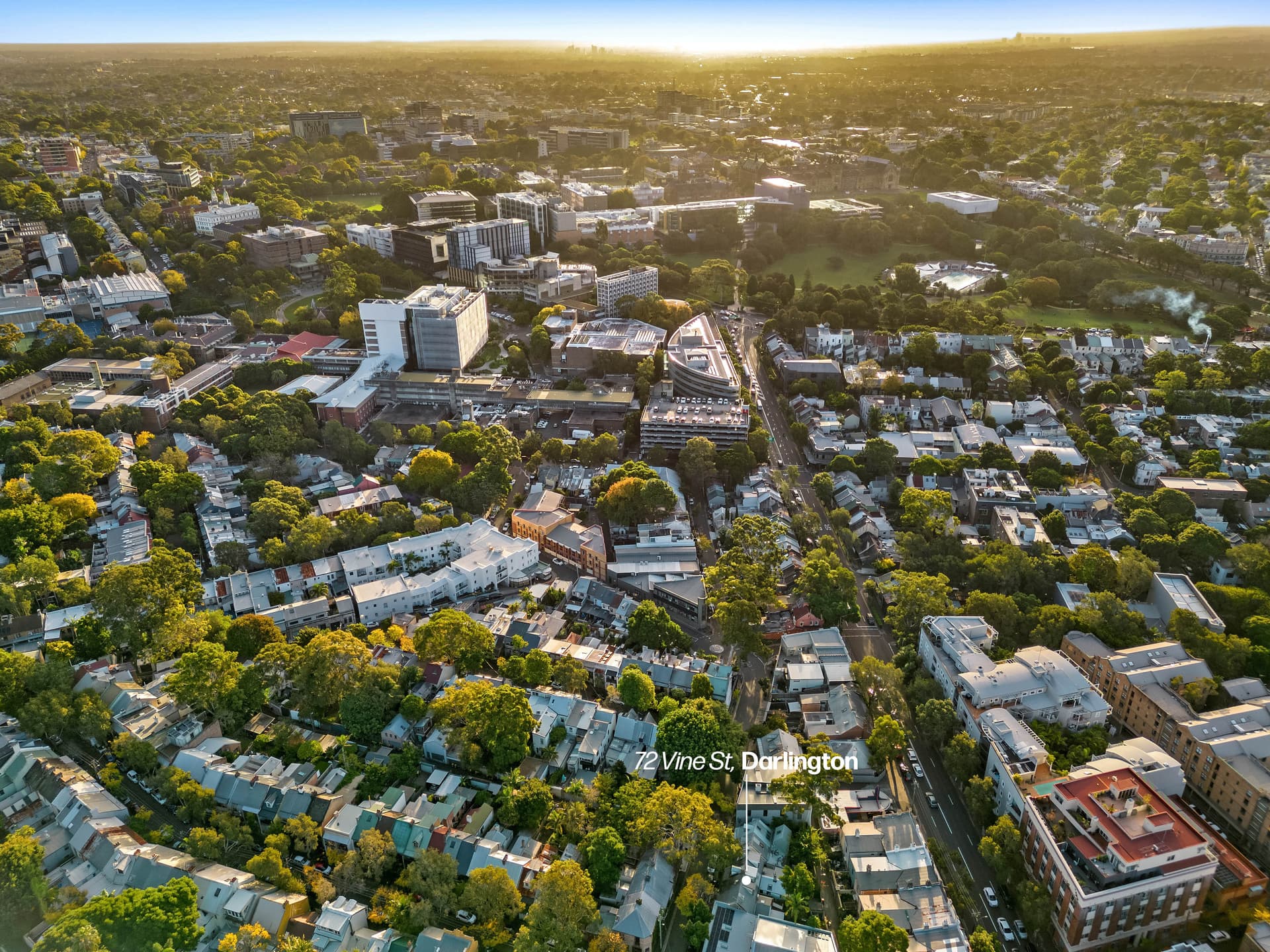 72 Vine Street, Darlington NSW