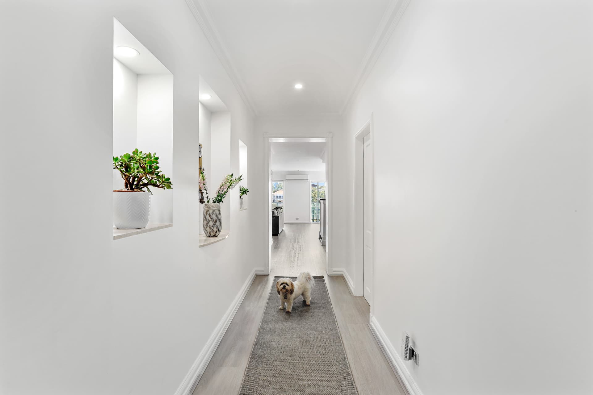 1/55 Liverpool Street, Rose Bay NSW