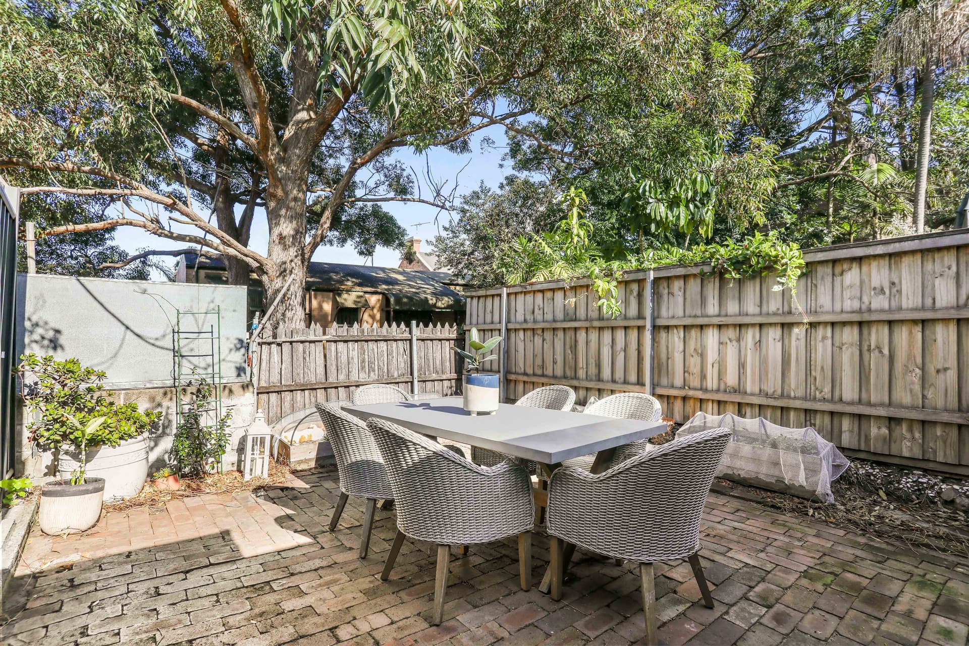 14 Wellington Street, Waterloo NSW