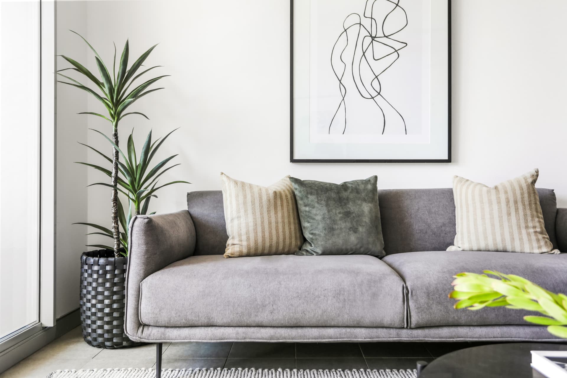 10/574 Botany Road, Alexandria NSW