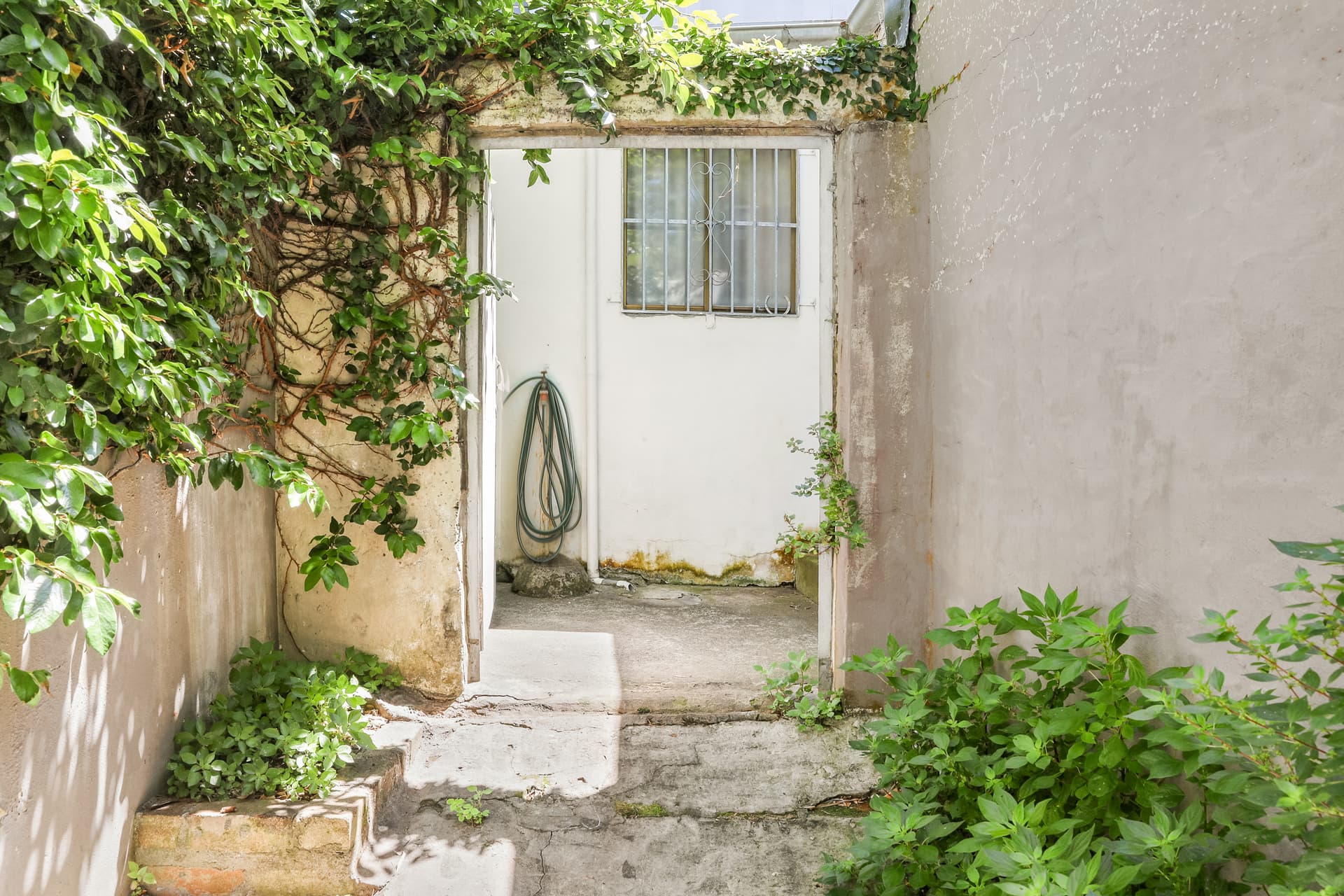 43 Lansdowne Street, Surry Hills NSW