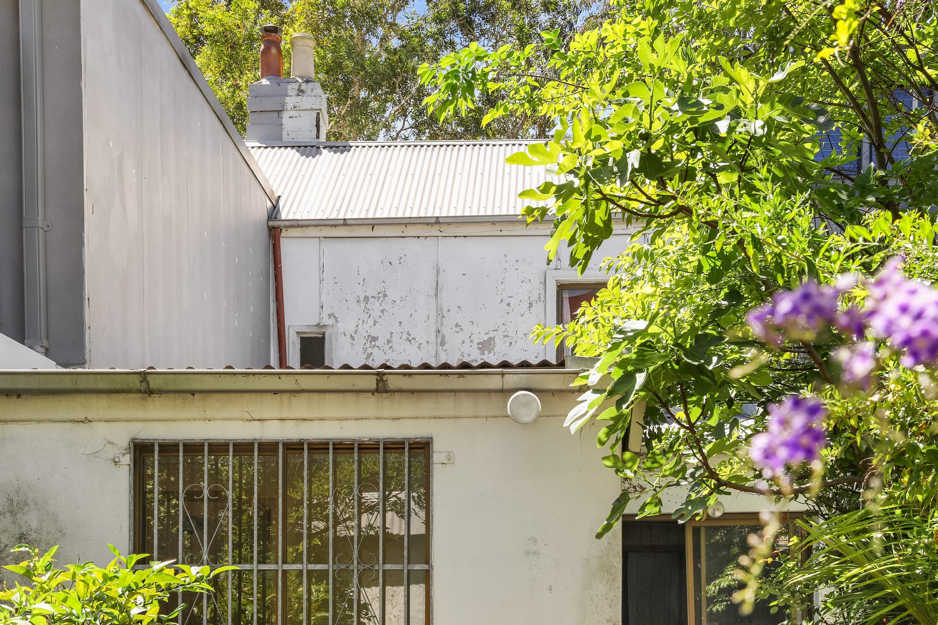 43 Lansdowne Street, Surry Hills NSW