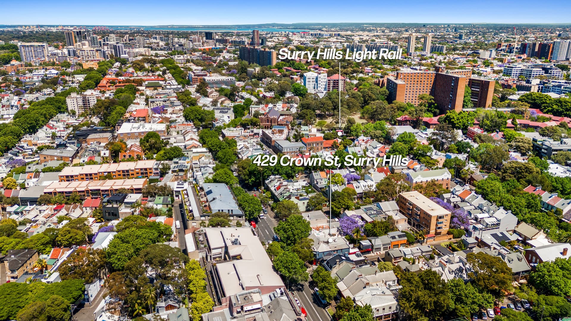 429 Crown Street, Surry Hills NSW