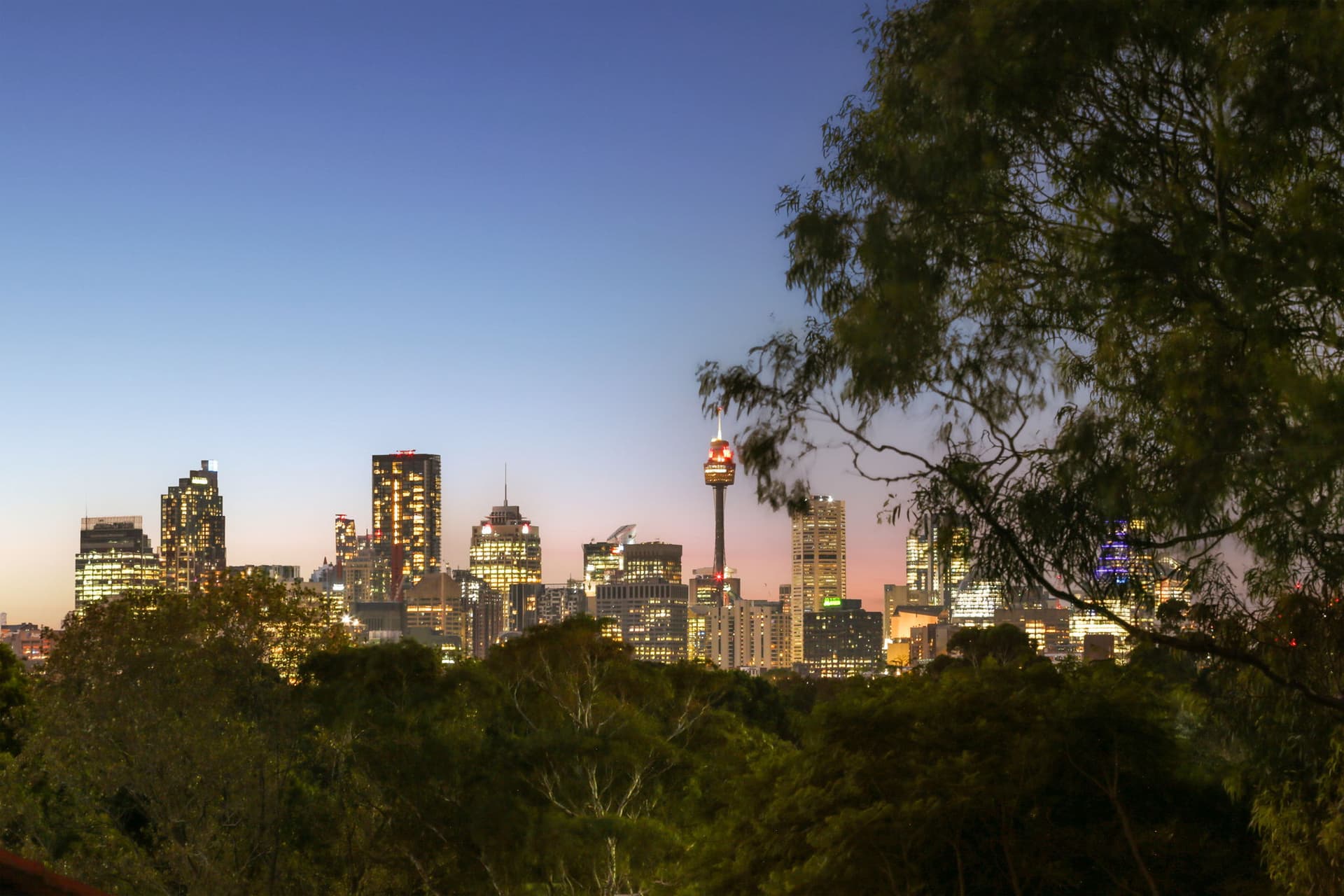 19 Salisbury Road, Kensington NSW