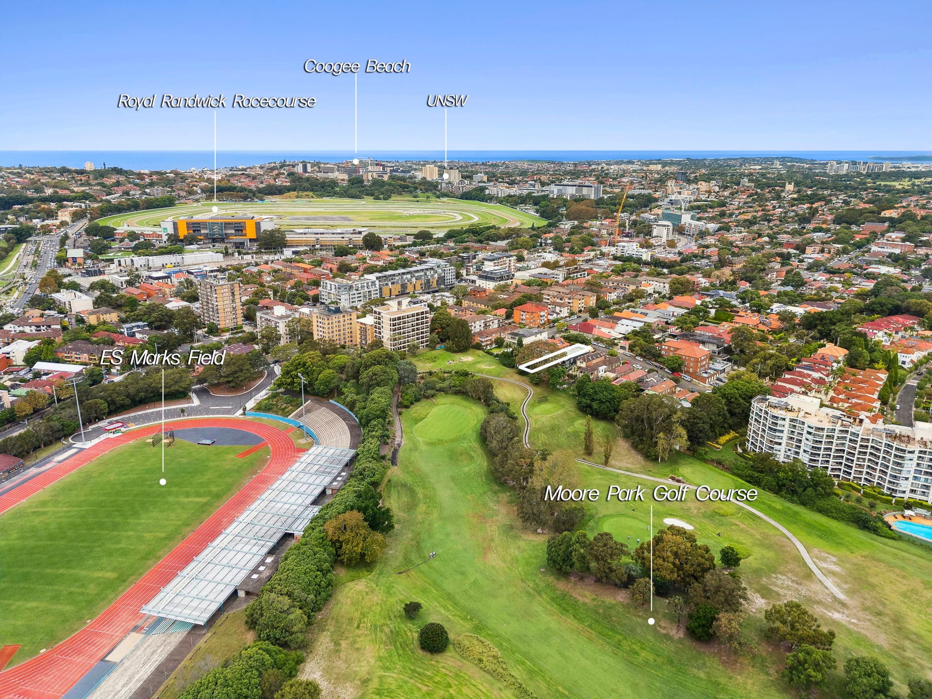 19 Salisbury Road, Kensington NSW