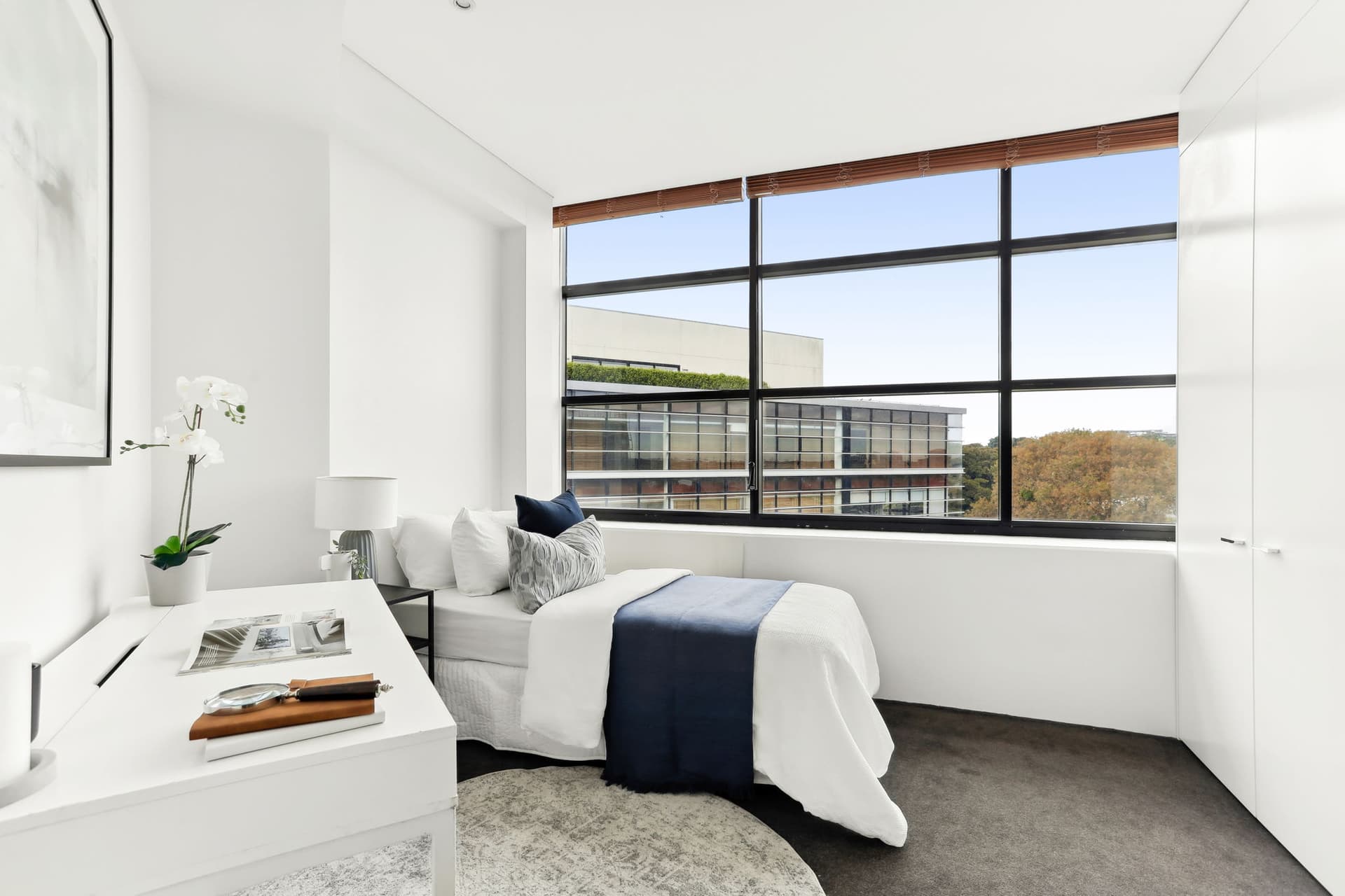 805A/264 Anzac Parade, Kensington NSW