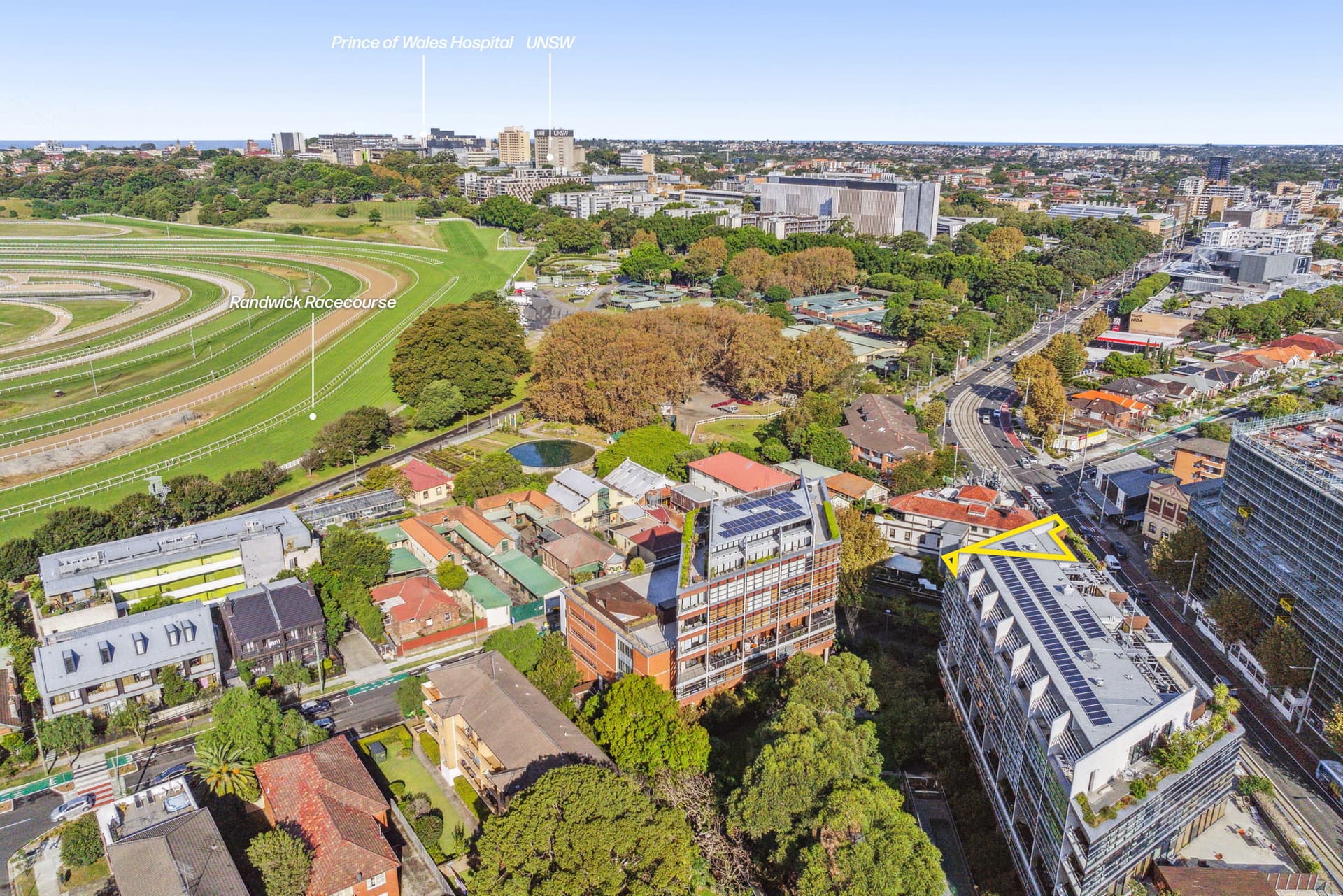 805A/264 Anzac Parade, Kensington NSW