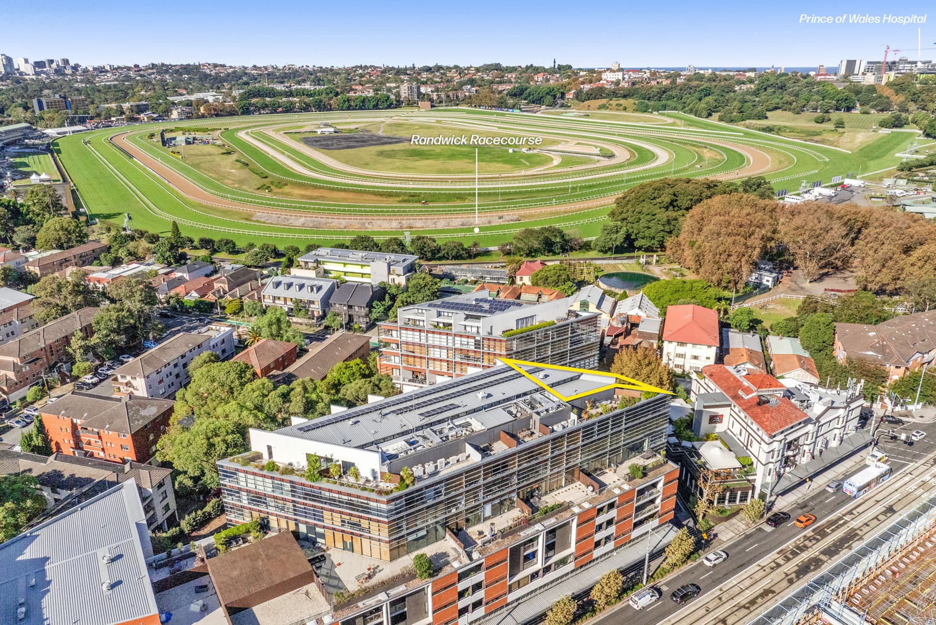 805A/264 Anzac Parade, Kensington NSW