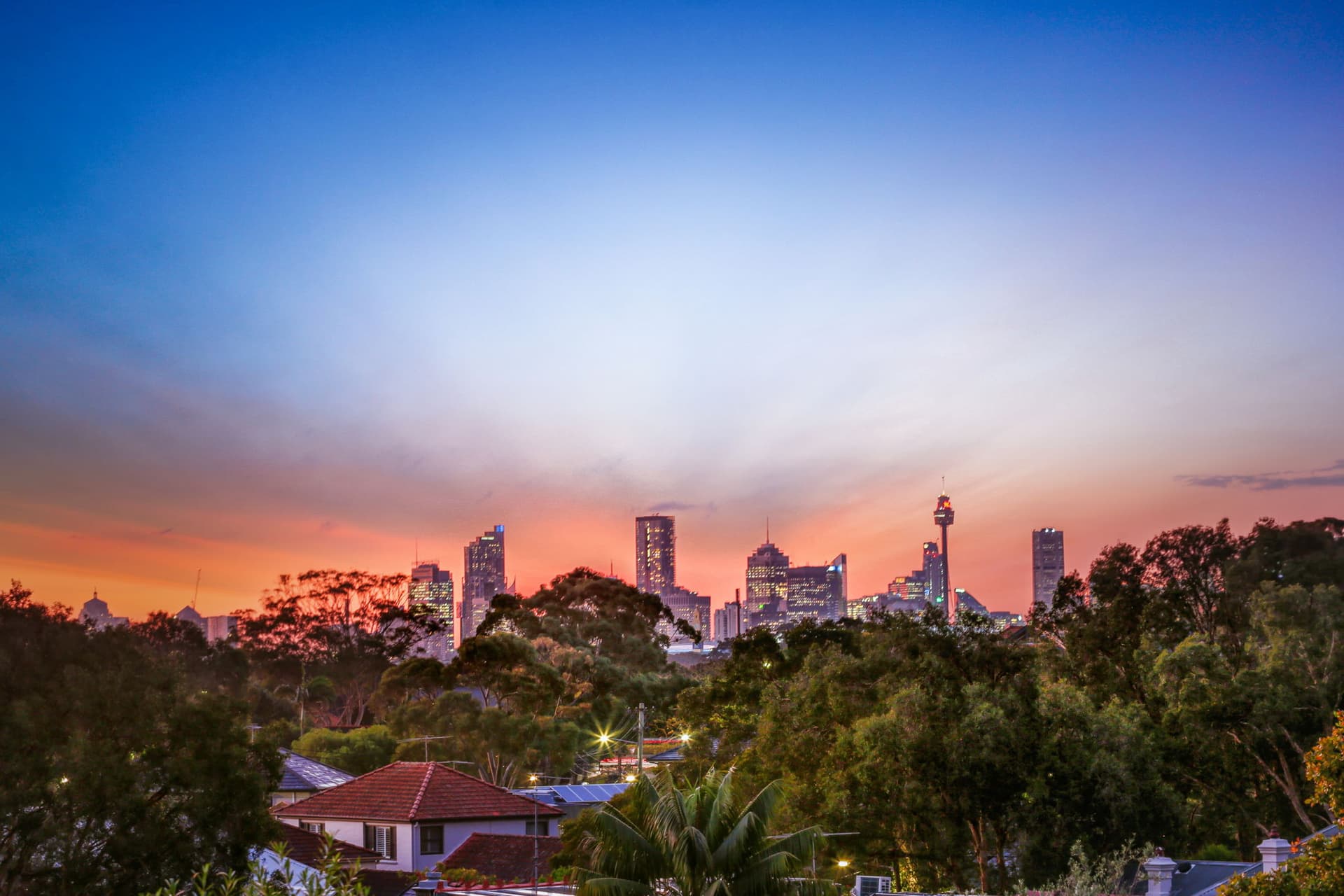 54 Wentworth Street, Randwick NSW