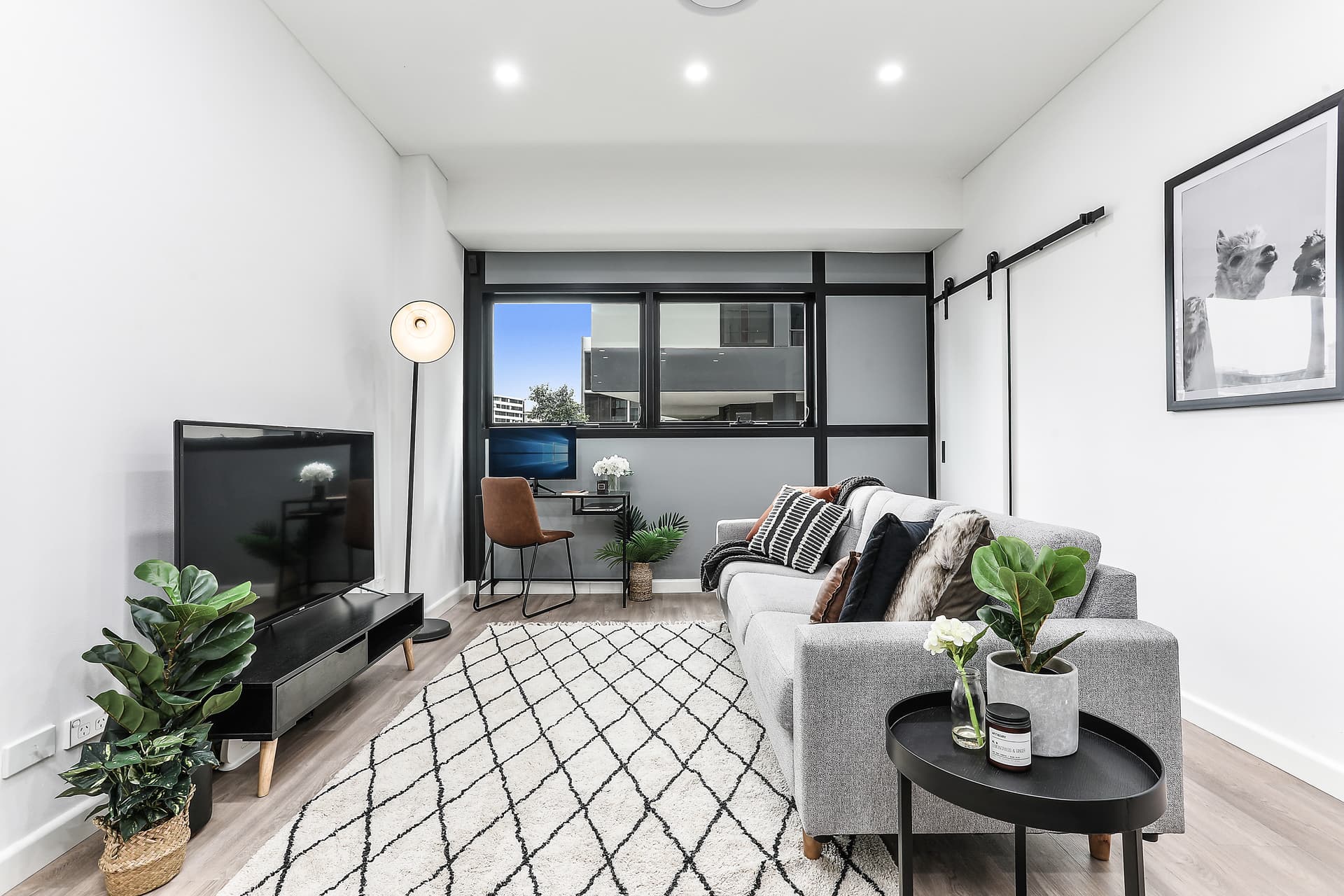 11A Lachlan Street, Waterloo NSW