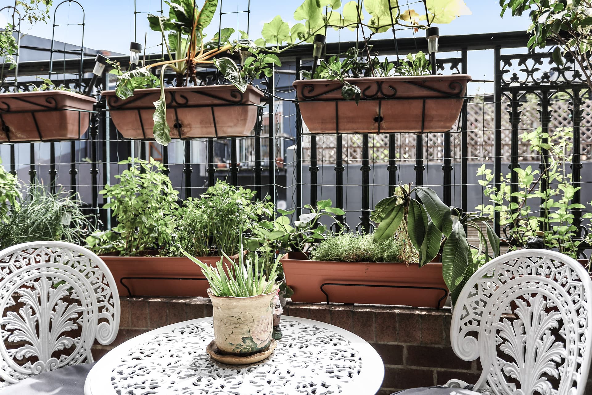 3/187-189 Cleveland Street, Redfern NSW