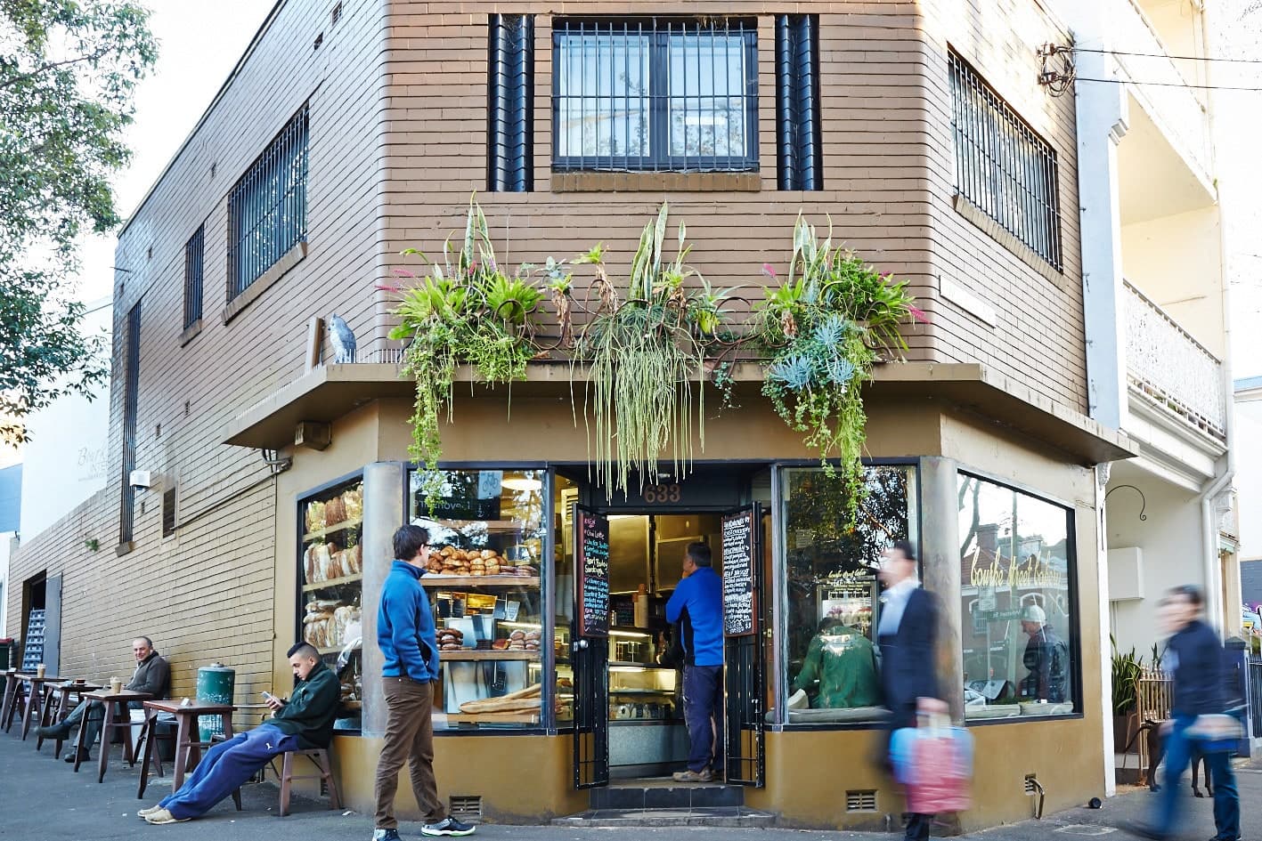 1/3 Esther Street, Surry Hills NSW