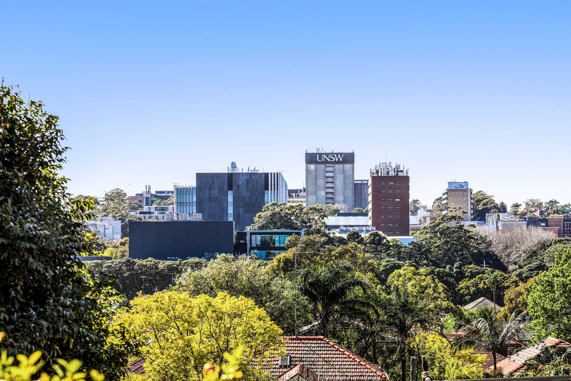 4 Tedwin Avenue, Kensington NSW