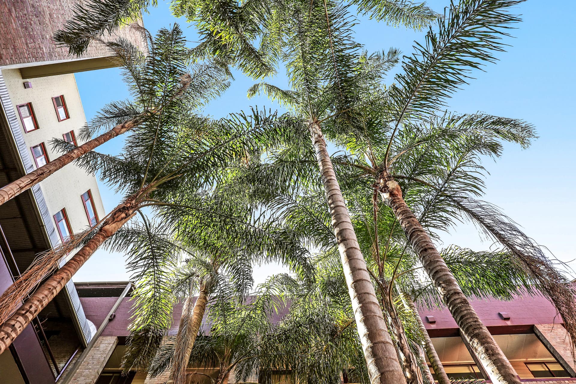 110/1-9 Marian Street, Redfern NSW