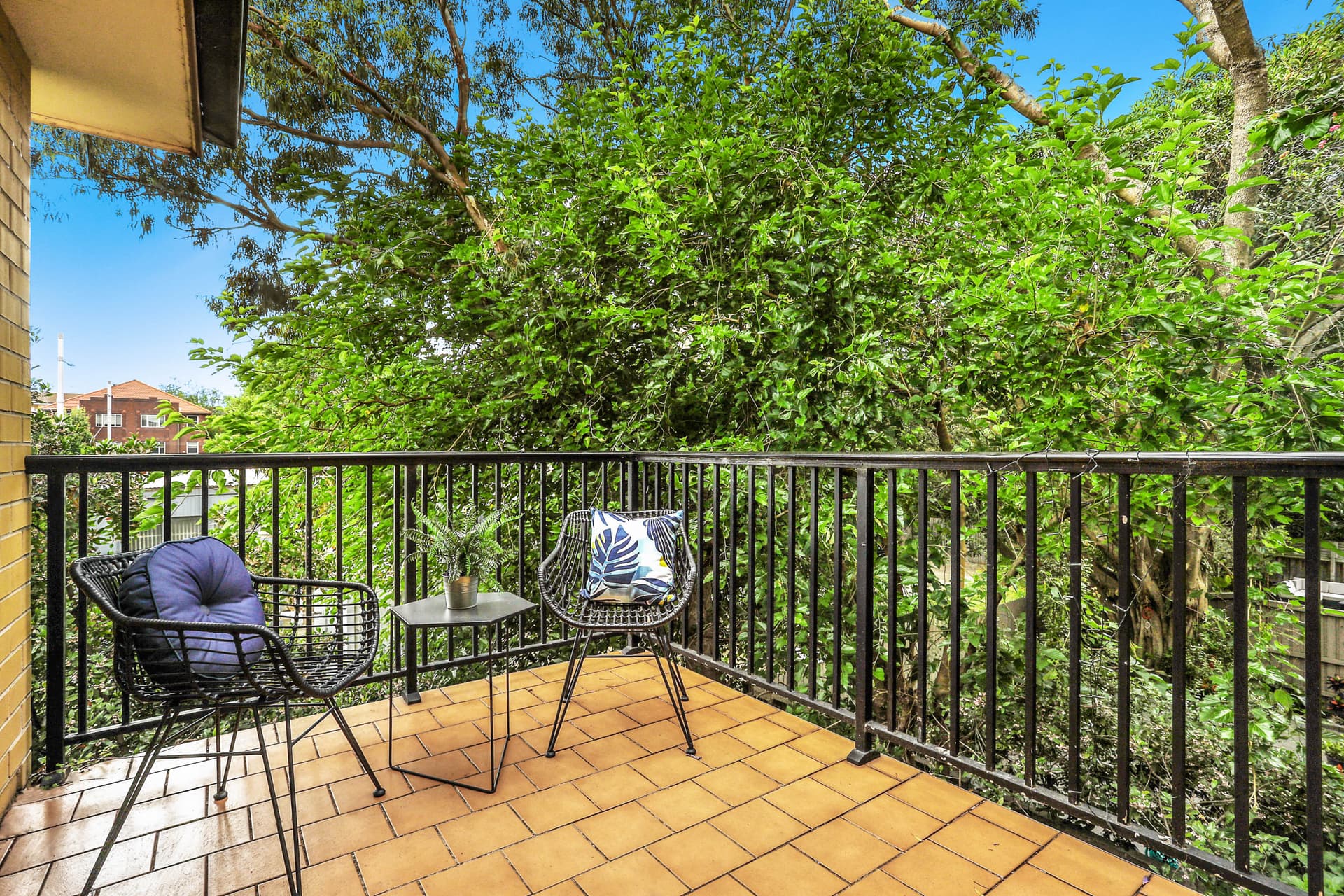 3/149 Todman Avenue, Kensington NSW