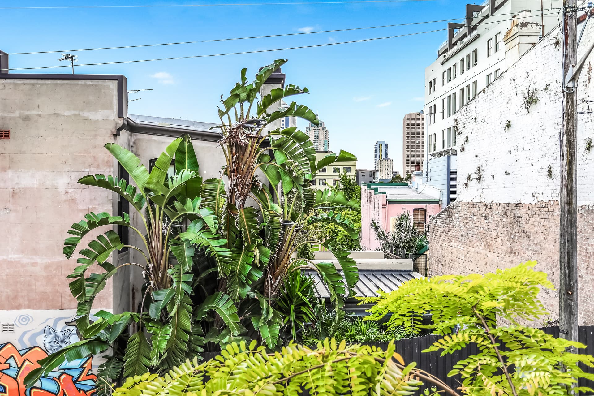 118 Reservoir Street, Surry Hills NSW