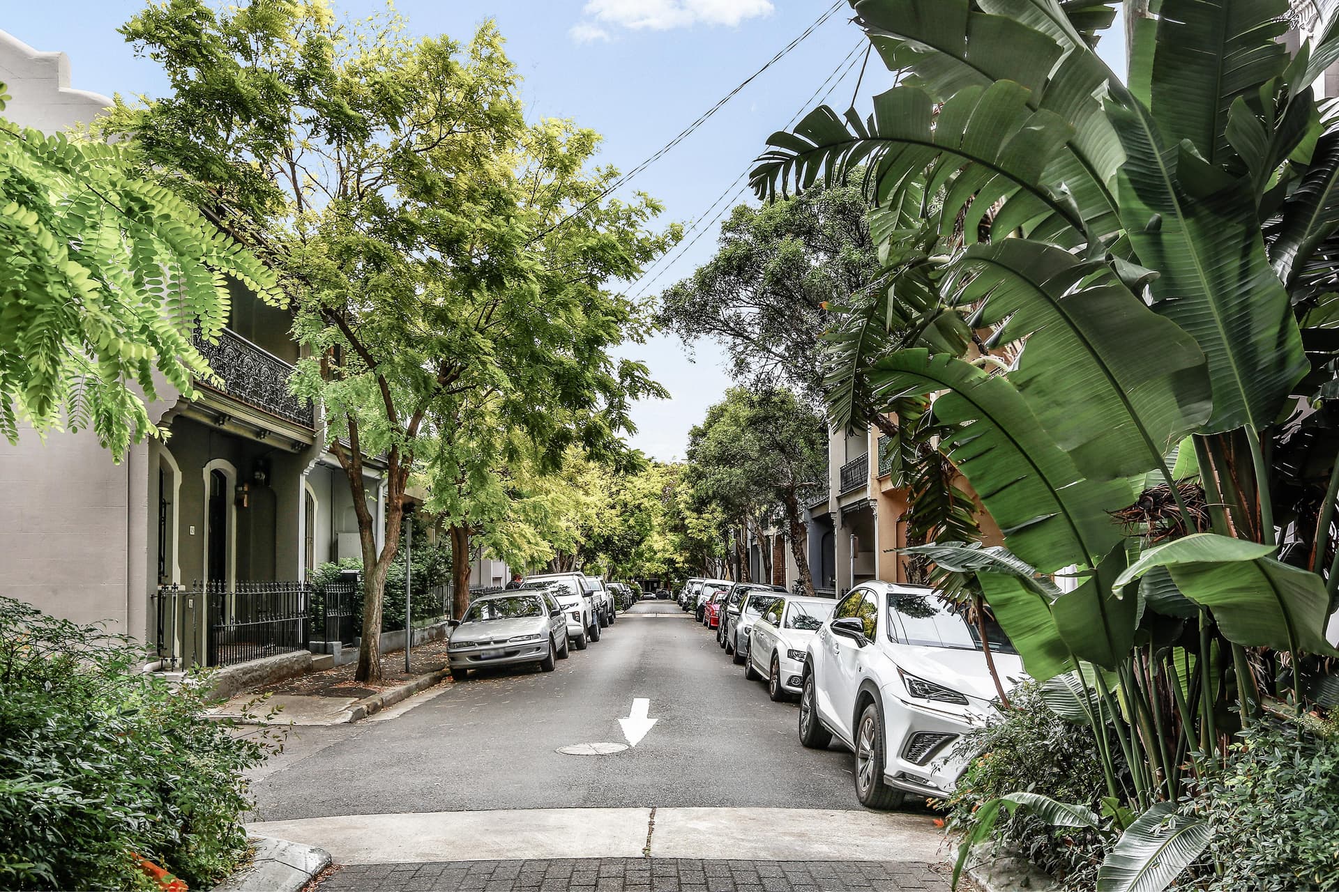 54 Ridge Street, Surry Hills NSW