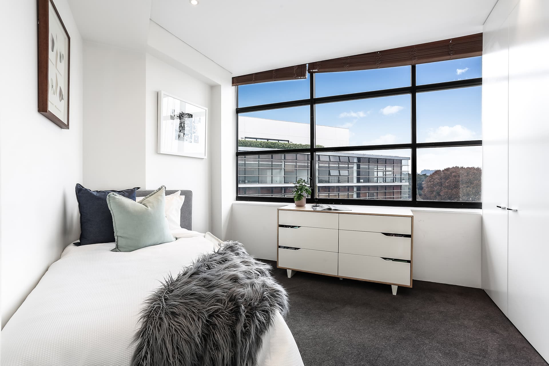 805A/264 Anzac Parade, Kensington NSW