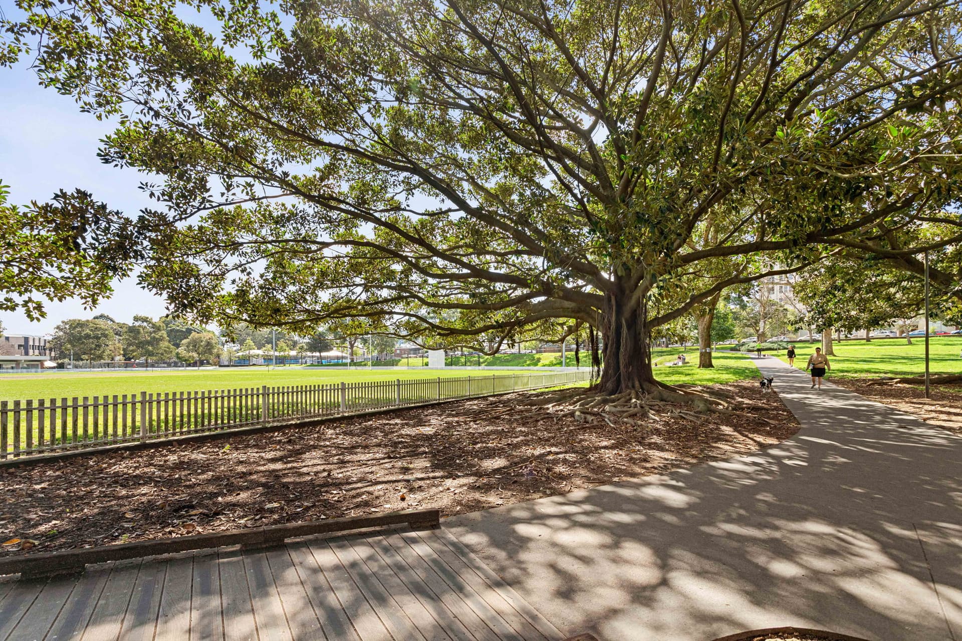 11/1-19 Gibbens Street, Camperdown NSW