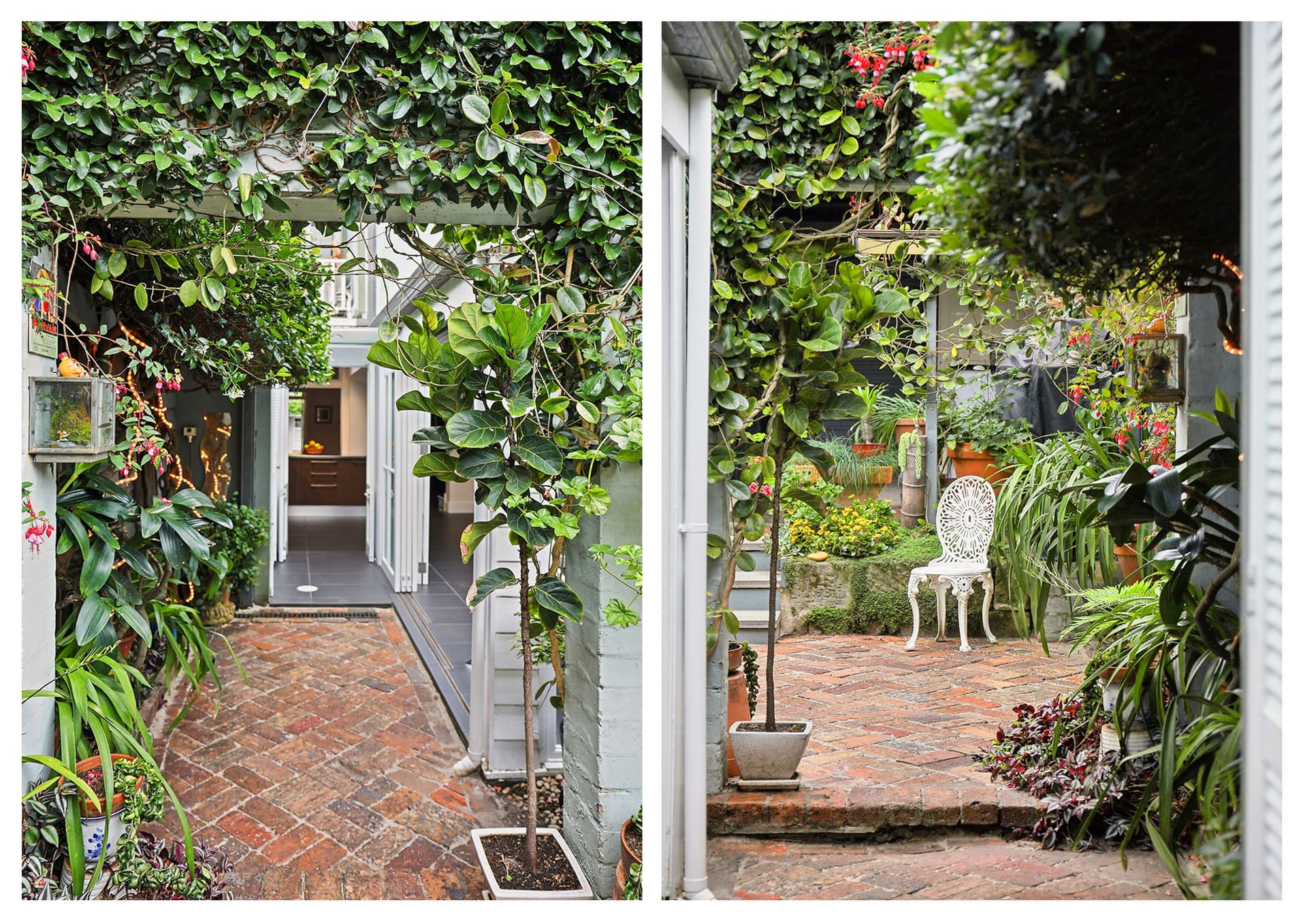 38 Lodge Street, Forest Lodge NSW