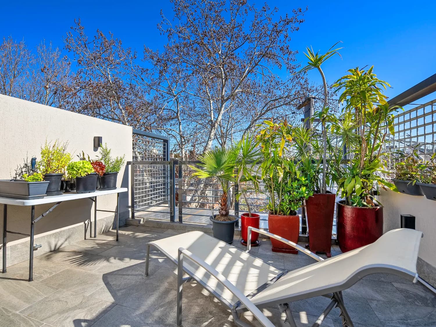 126 Wilton Street, Surry Hills NSW