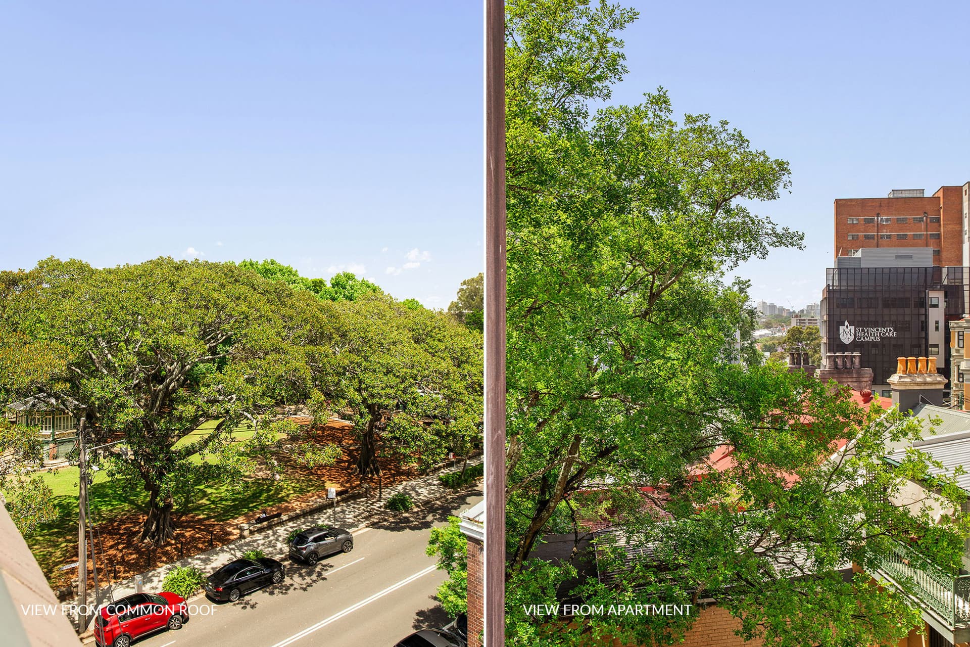 15/44 Hardie Street, Darlinghurst NSW