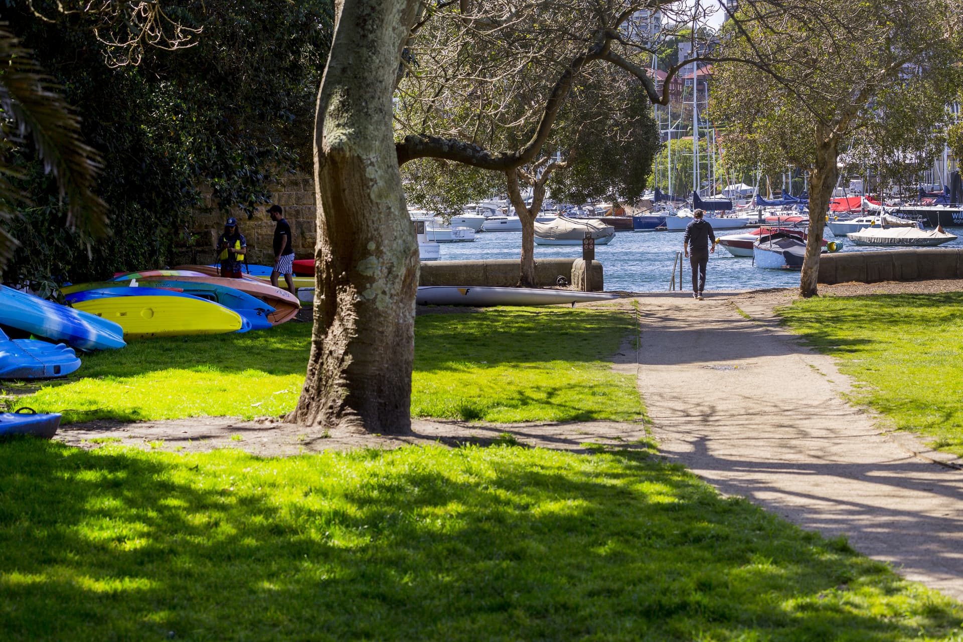 8/44 Bayswater Road, Rushcutters Bay NSW