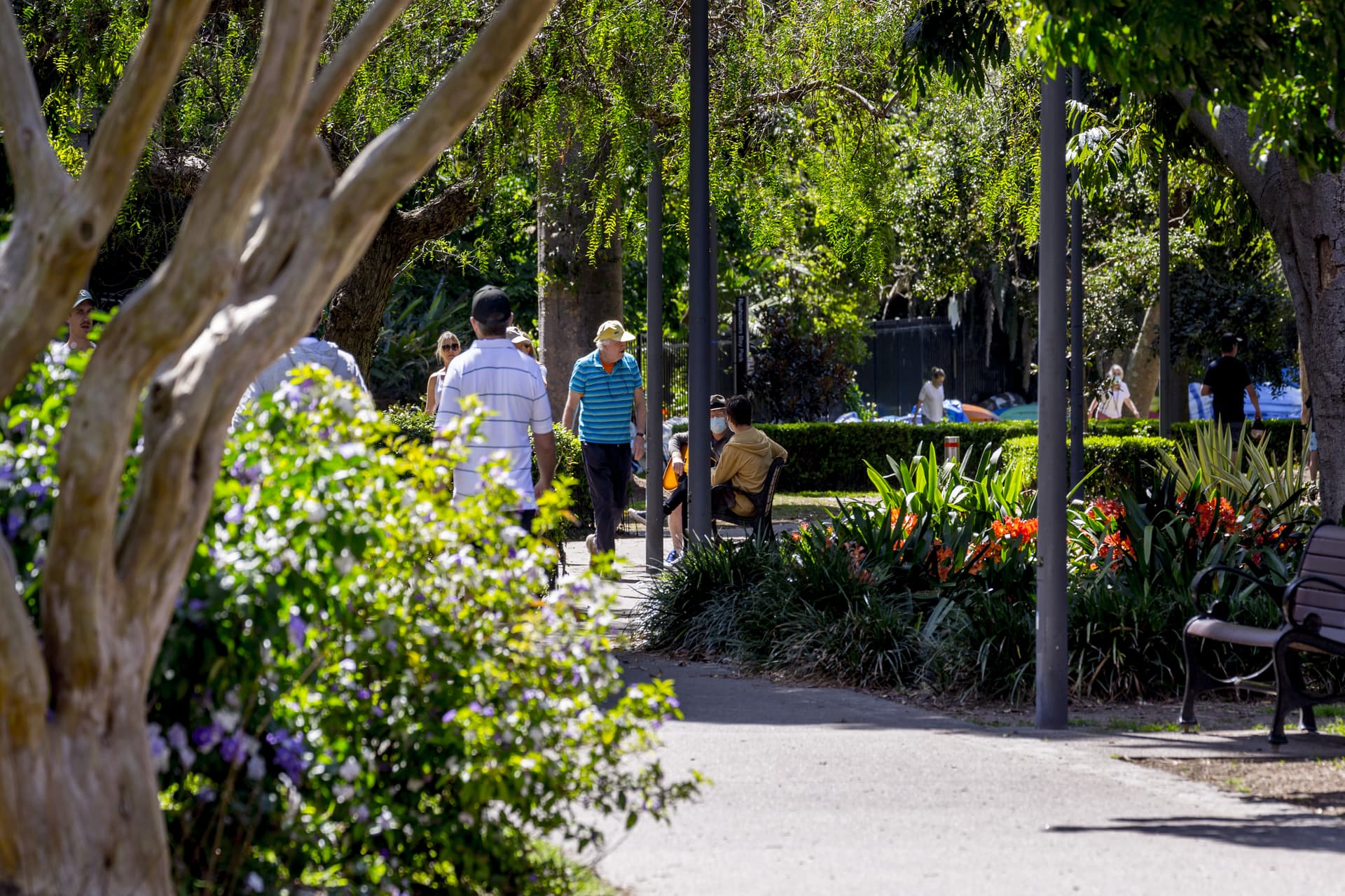 8/44 Bayswater Road, Rushcutters Bay NSW