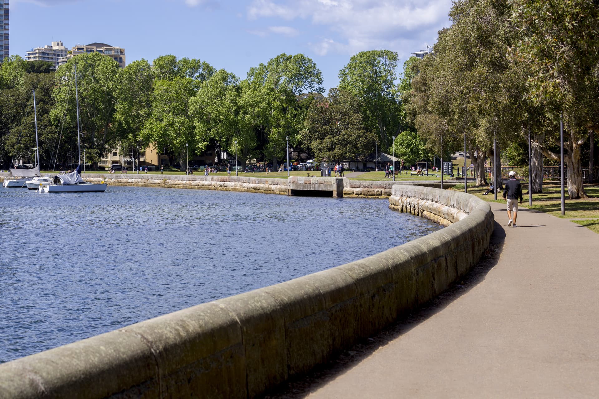 8/44 Bayswater Road, Rushcutters Bay NSW