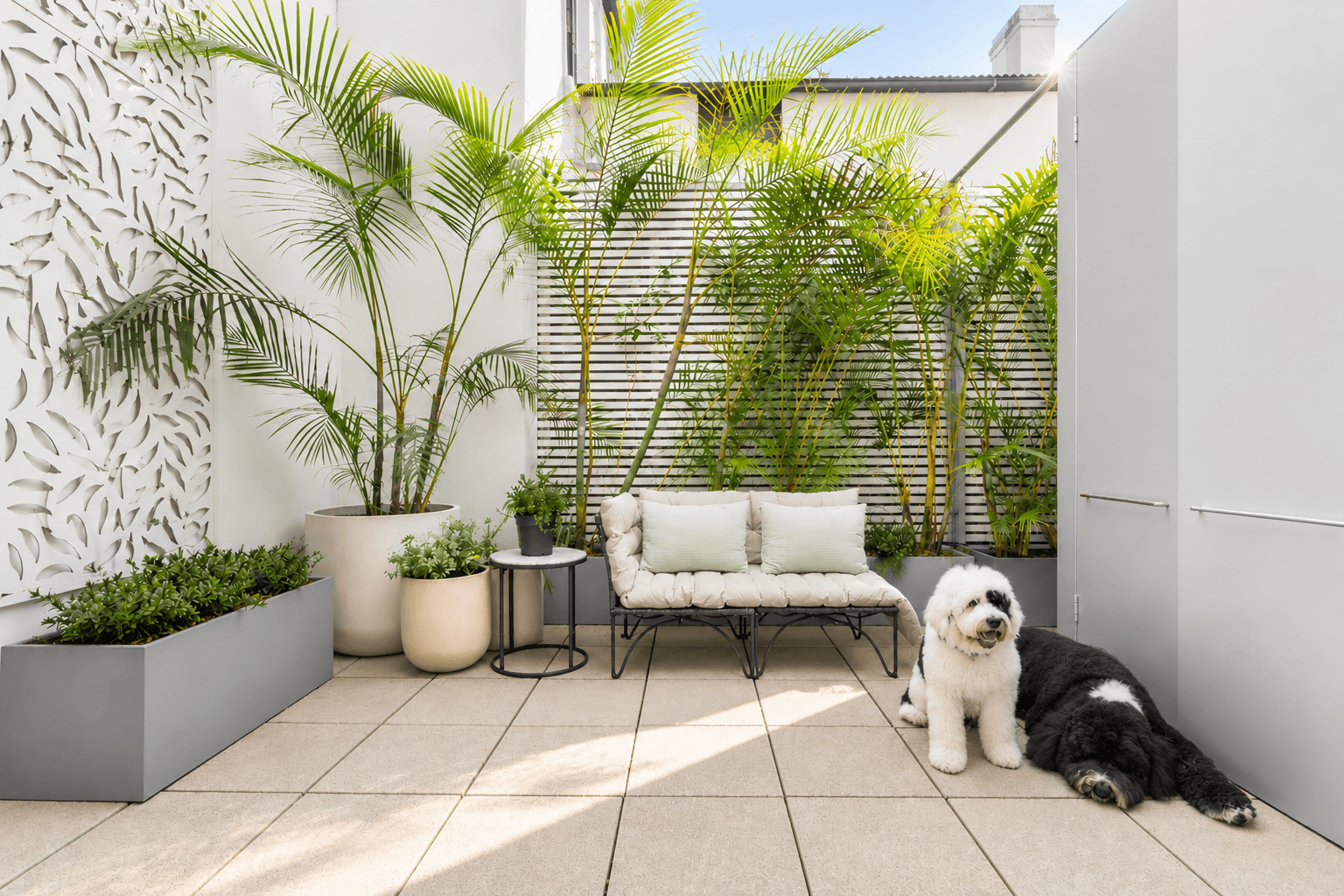 230A Liverpool Street, Darlinghurst NSW
