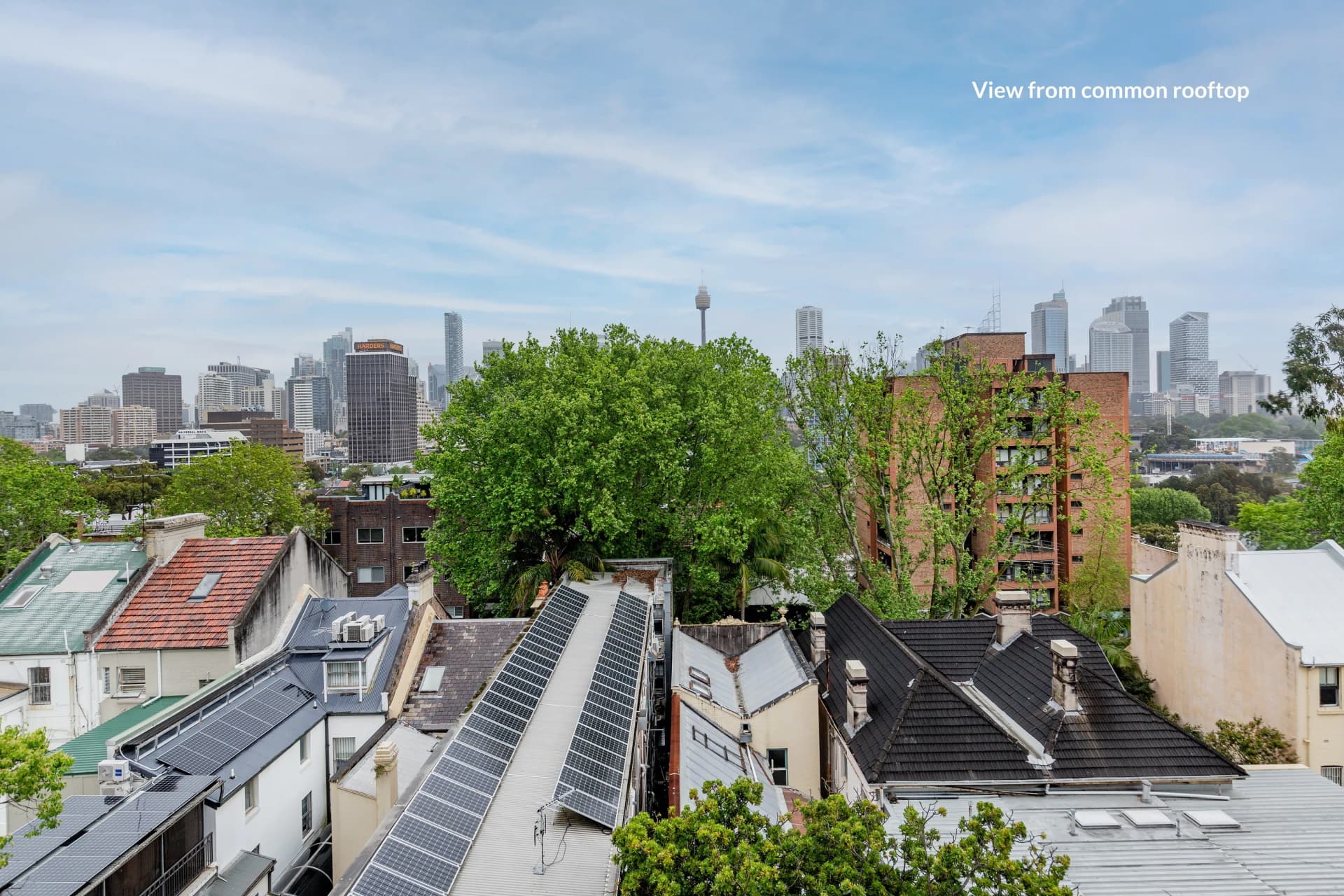 27/7 Springfield Avenue, Potts Point NSW