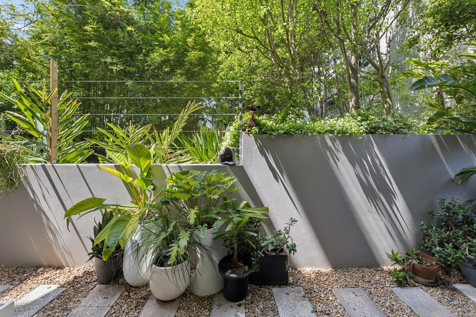 1/44B Bayswater Road, Rushcutters Bay NSW