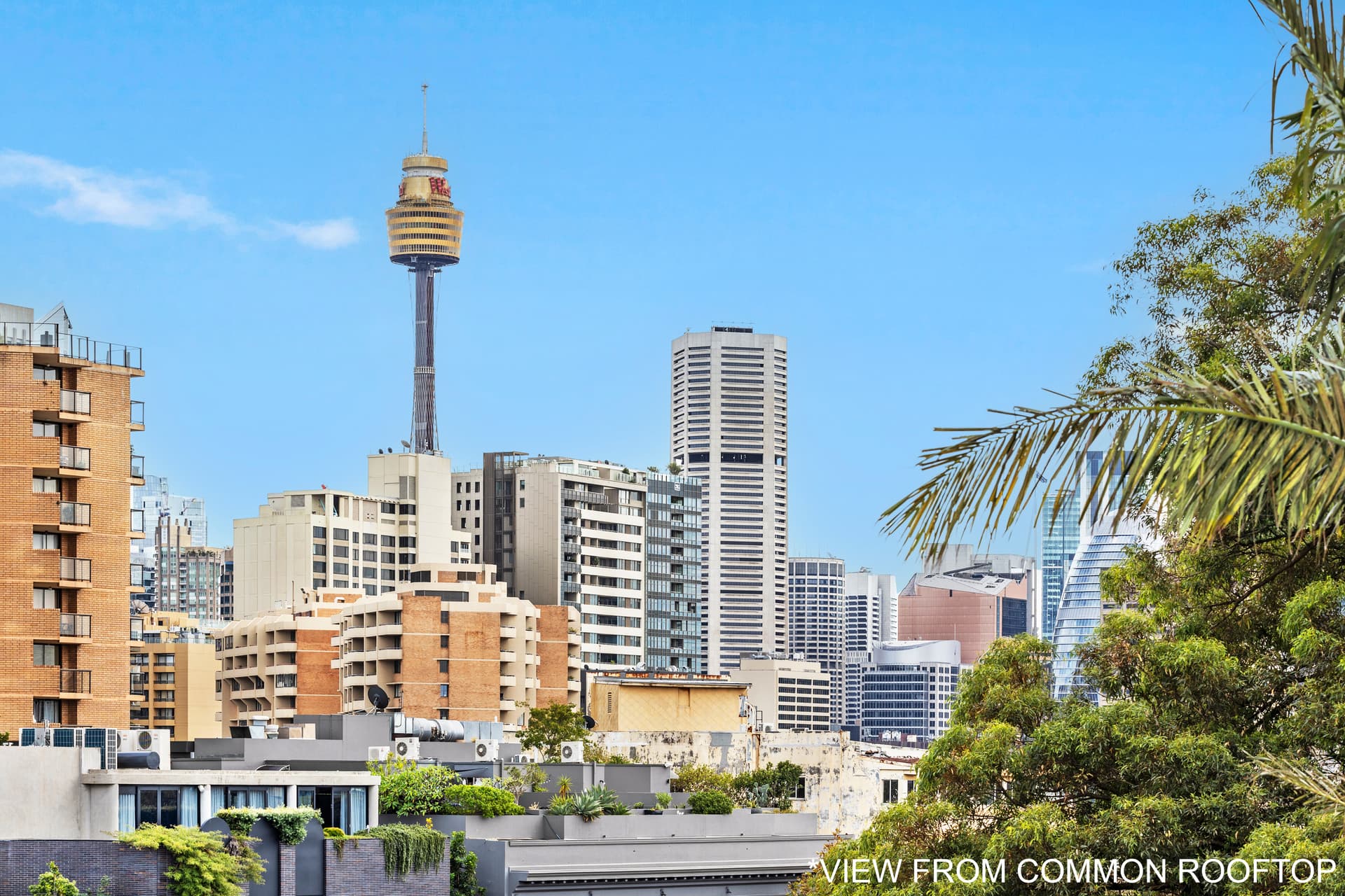 8/188 Campbell Street, Darlinghurst NSW