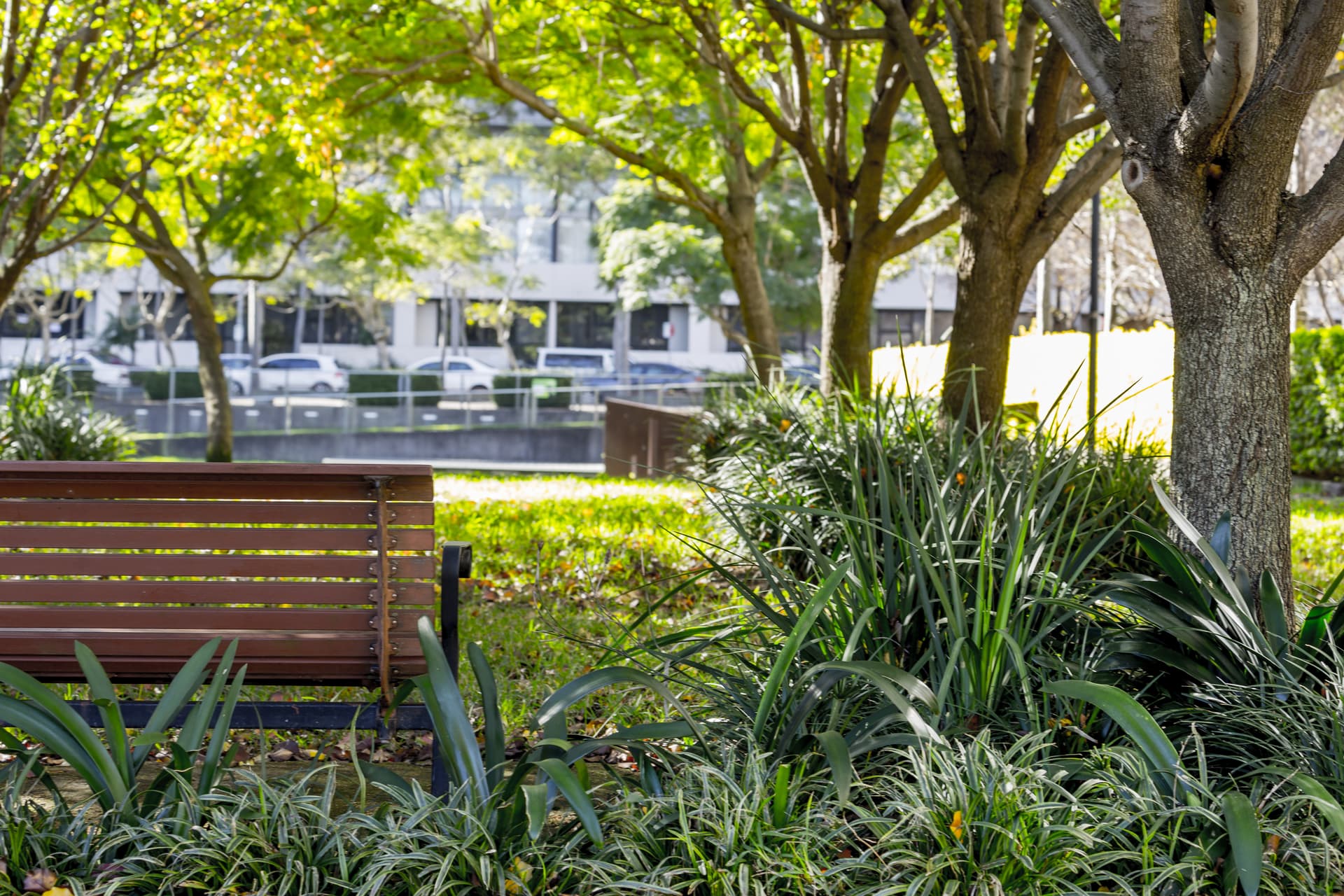 1505/3 George Julius Avenue, Zetland NSW