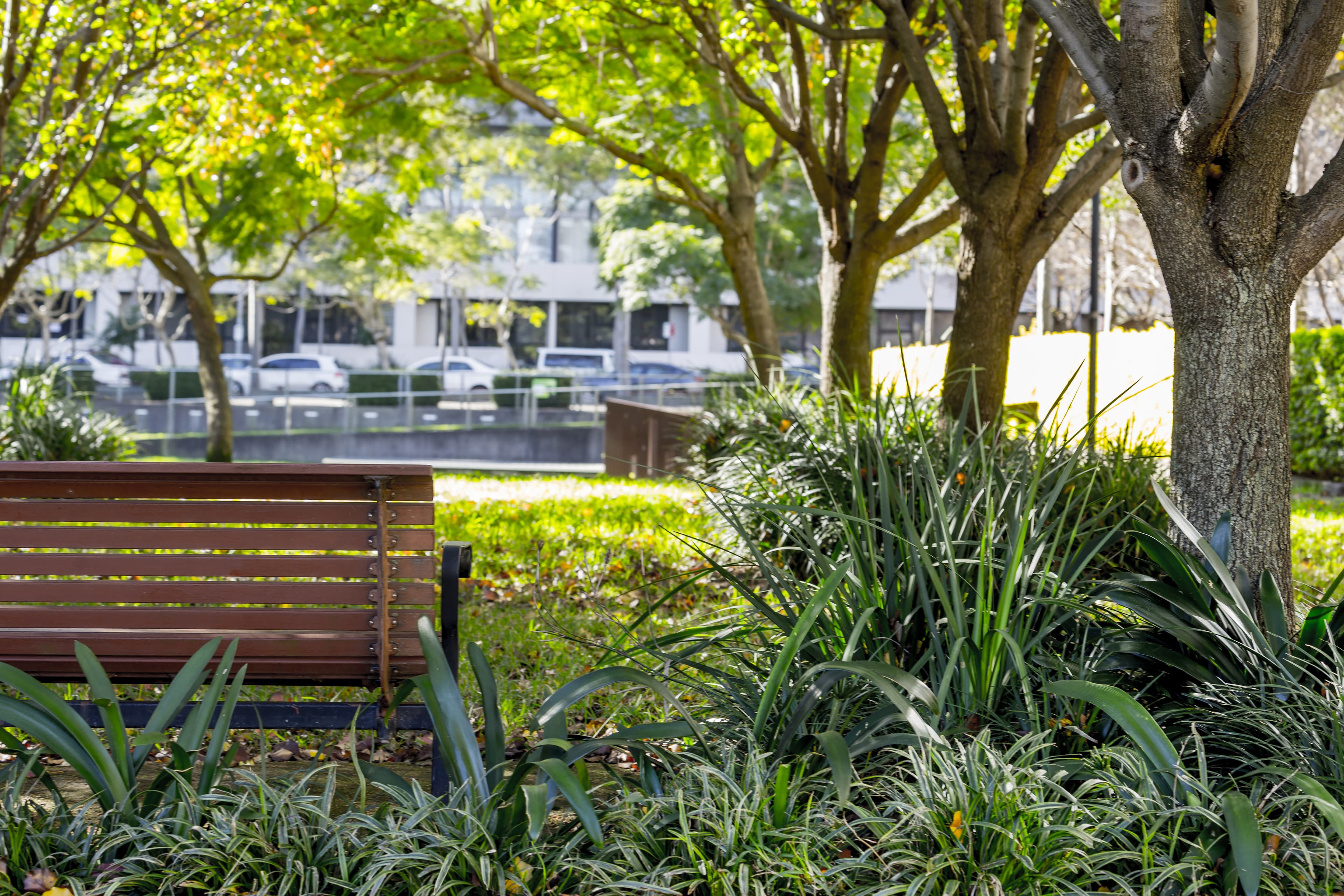 1505/3 George Julius Avenue, Zetland NSW