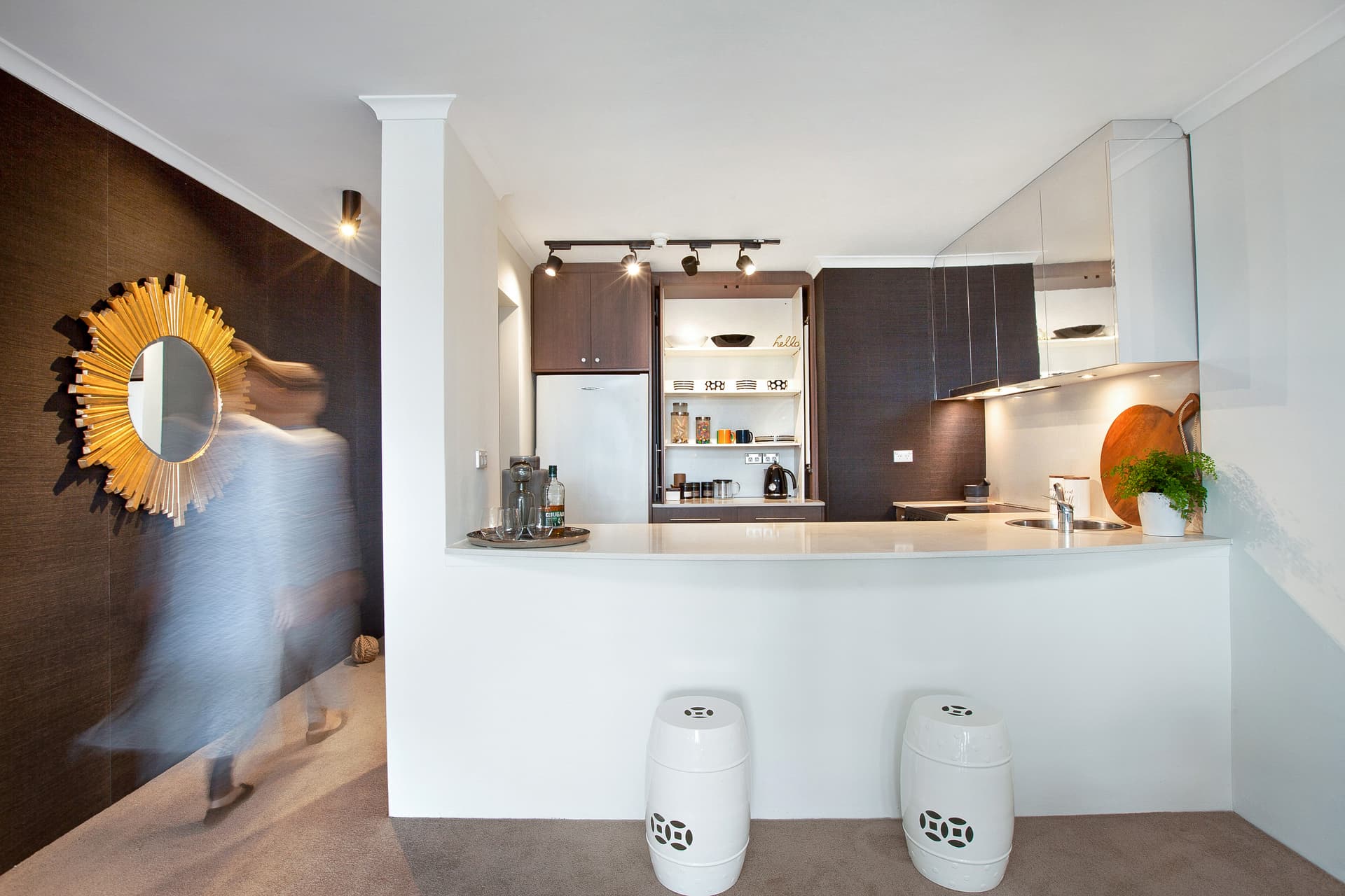 411/2 Springfield Avenue, Potts Point NSW