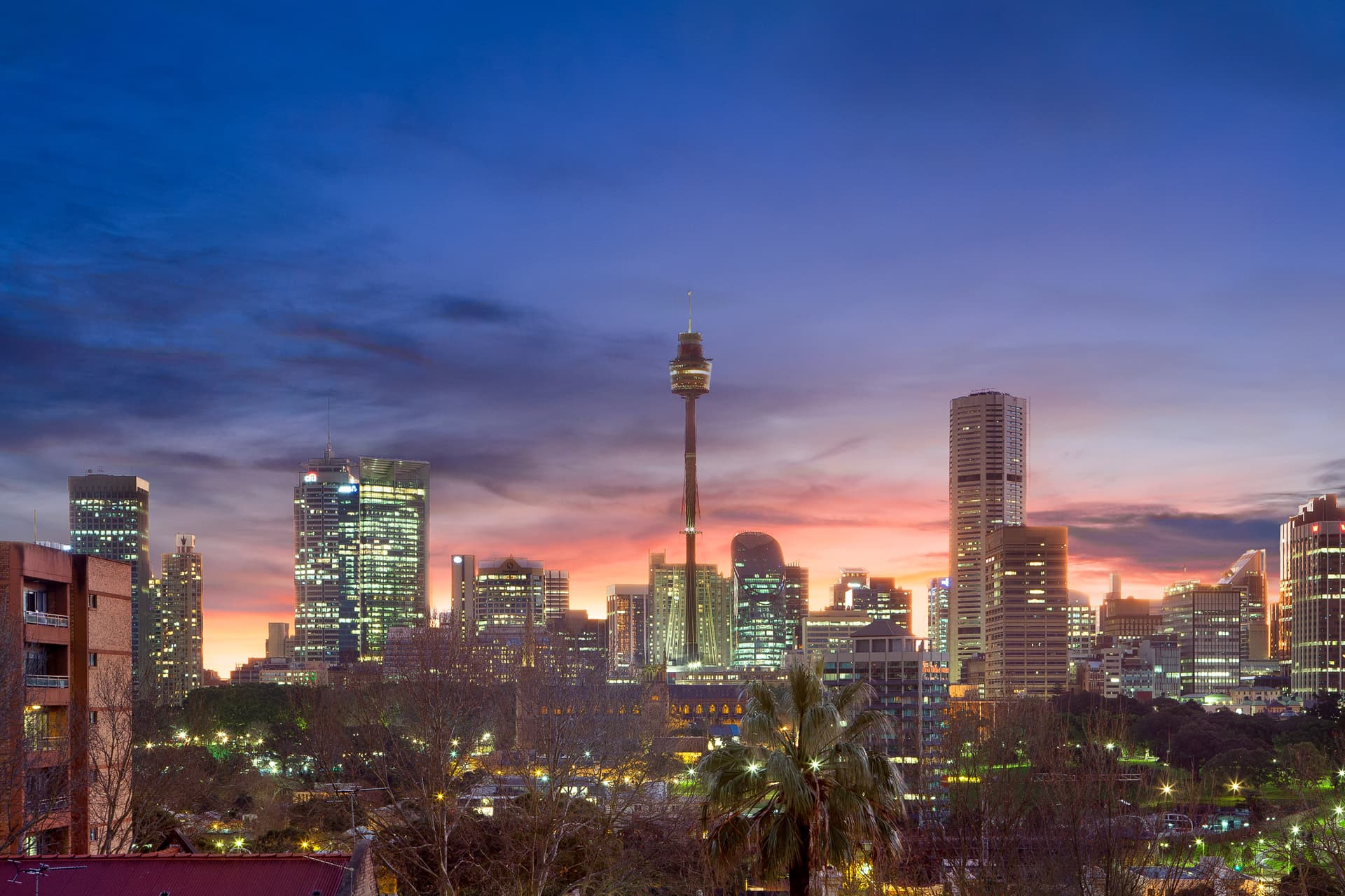 411/2 Springfield Avenue, Potts Point NSW