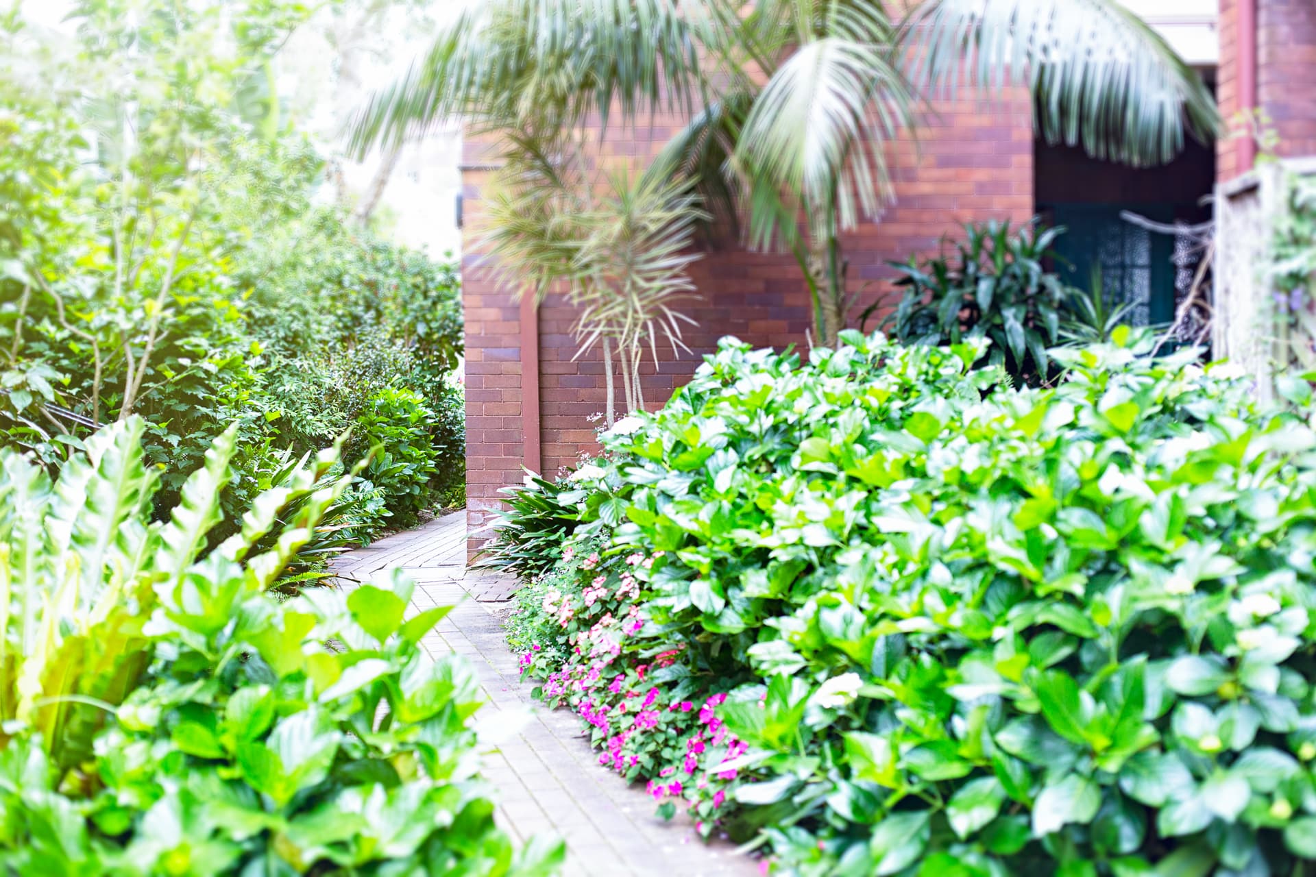 11/26 Simpson Street, Bondi Beach NSW