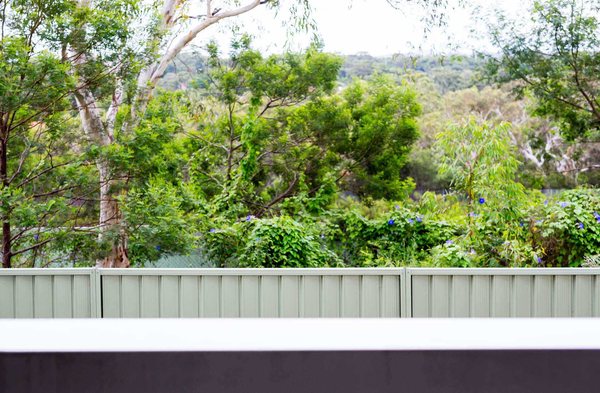 103/215 Waterloo Road, Marsfield NSW