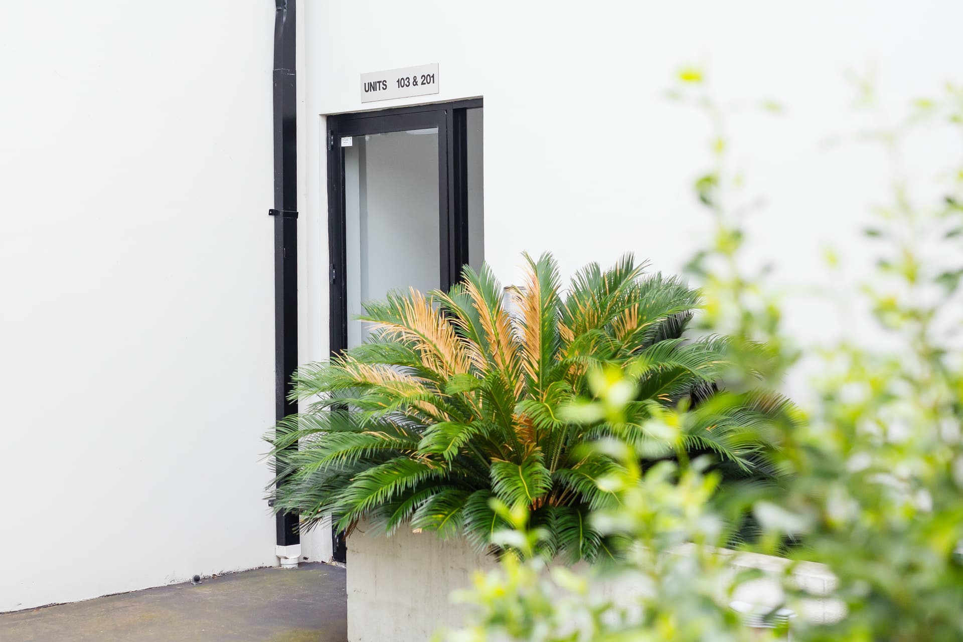 103/215 Waterloo Road, Marsfield NSW