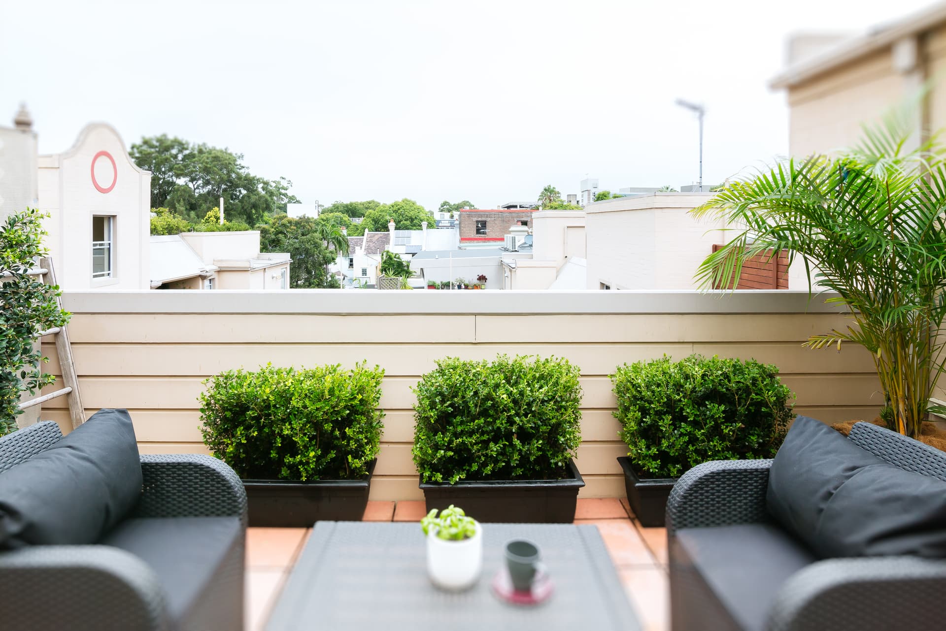 10/66 Shepherd Street, Chippendale NSW