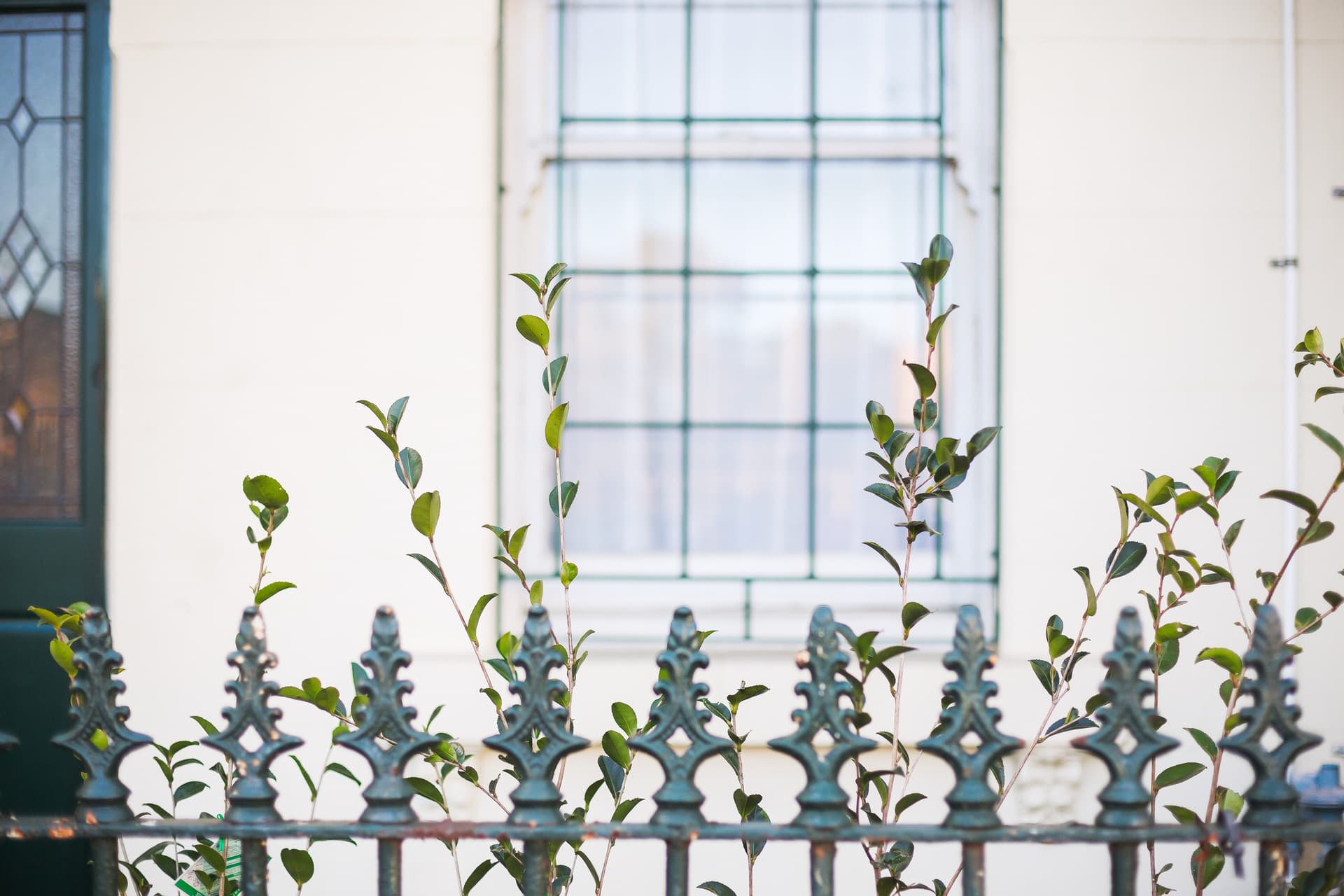 36 Pidcock Street, Camperdown NSW