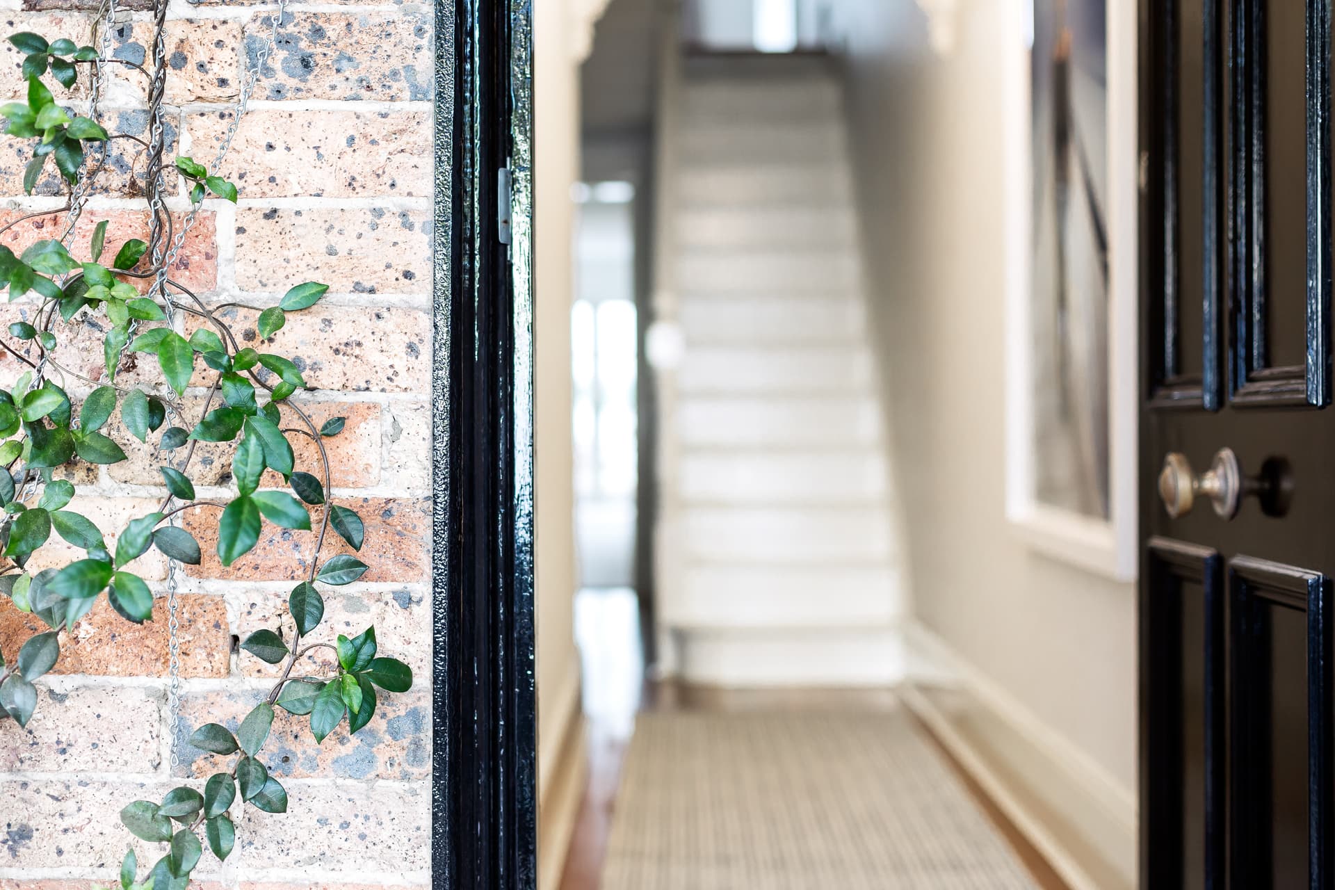 14 Goodhope Street, Paddington NSW