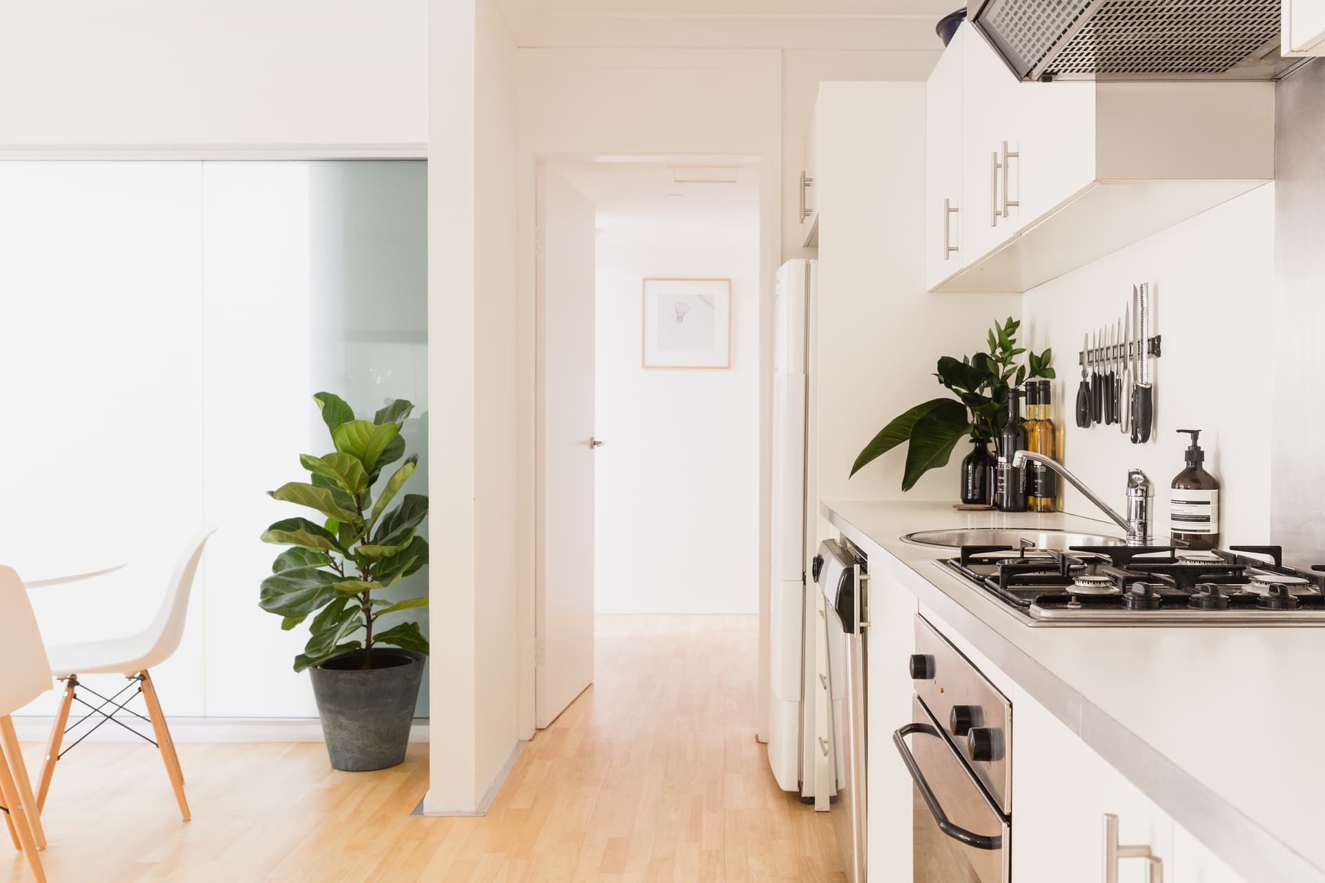 38/5a Knox Street, Chippendale NSW