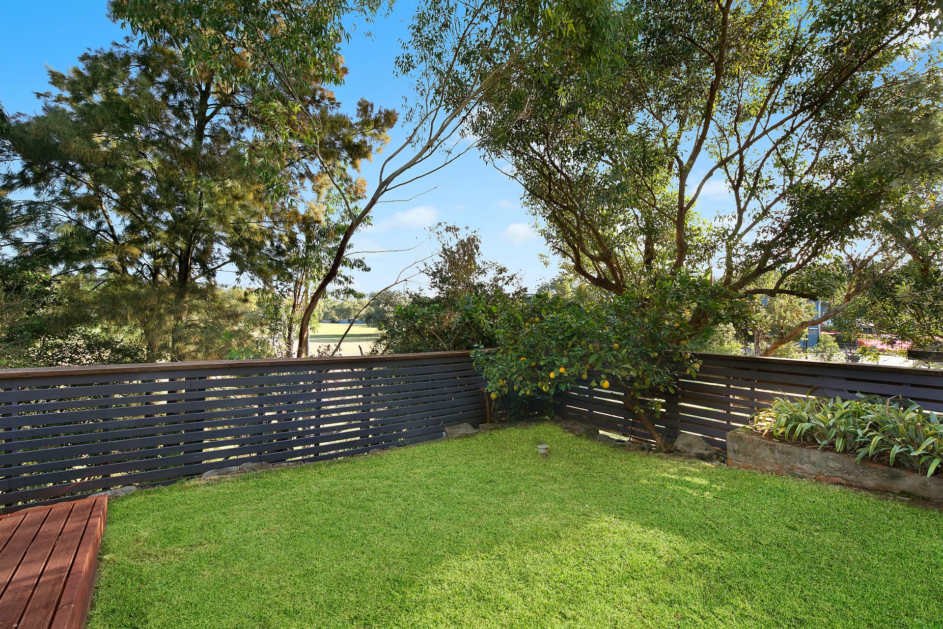 16 Thornley Street, Marrickville NSW