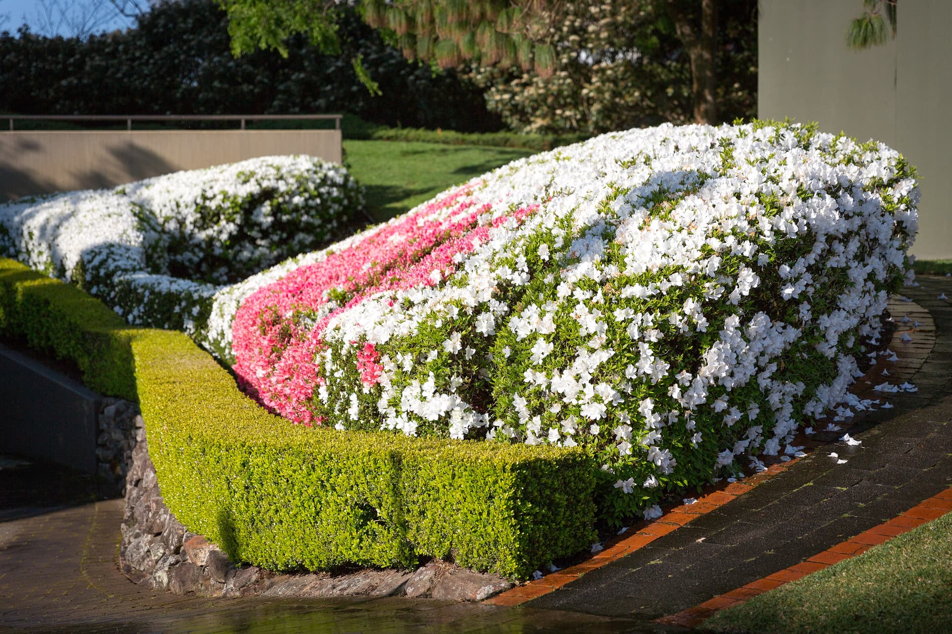 604/93 Brompton Road, Kensington NSW