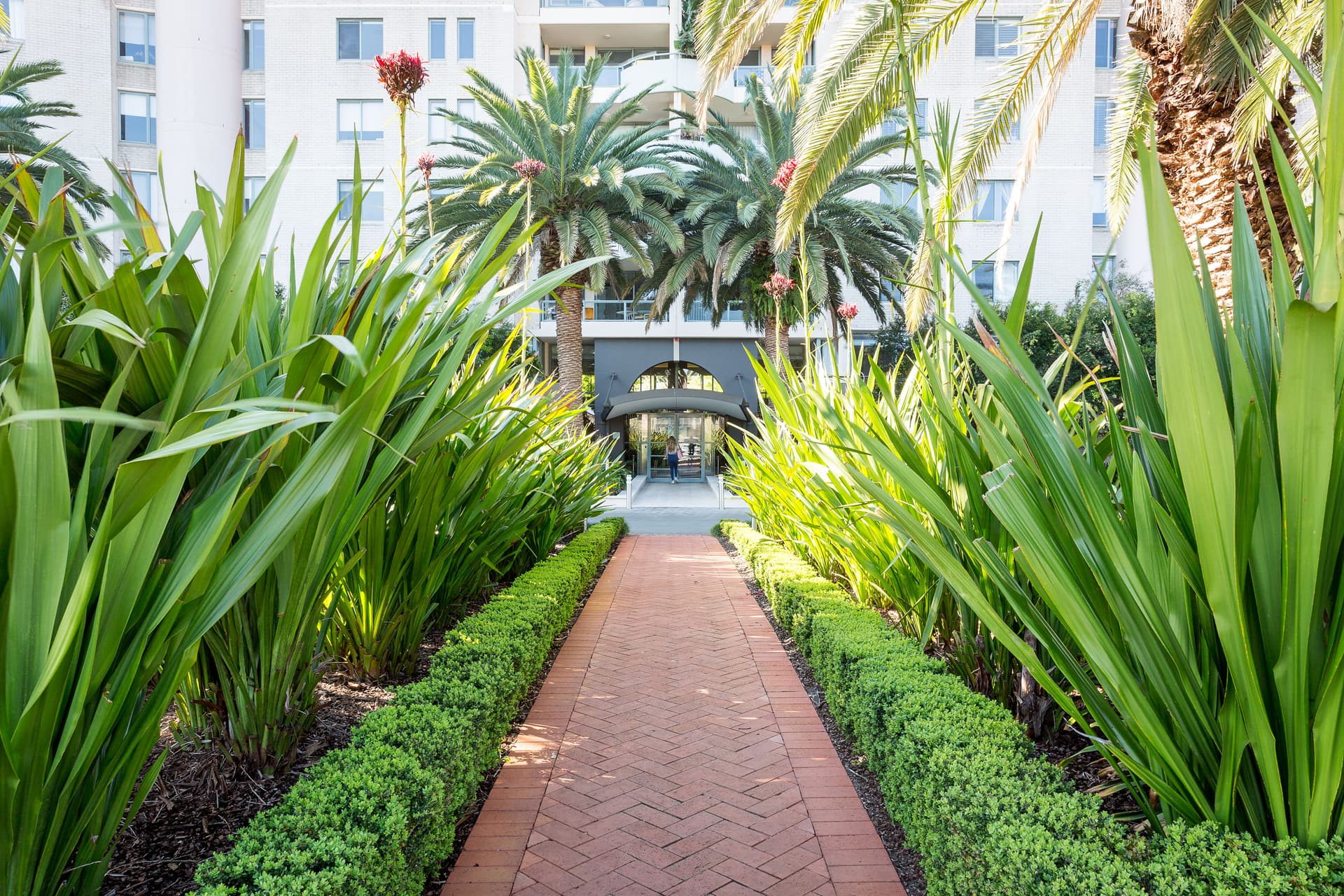 604/93 Brompton Road, Kensington NSW