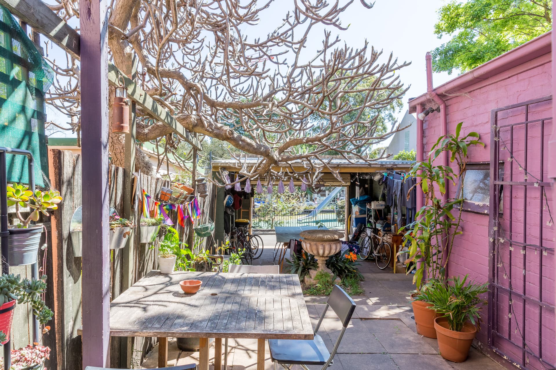 480 Wilson Street, Darlington NSW